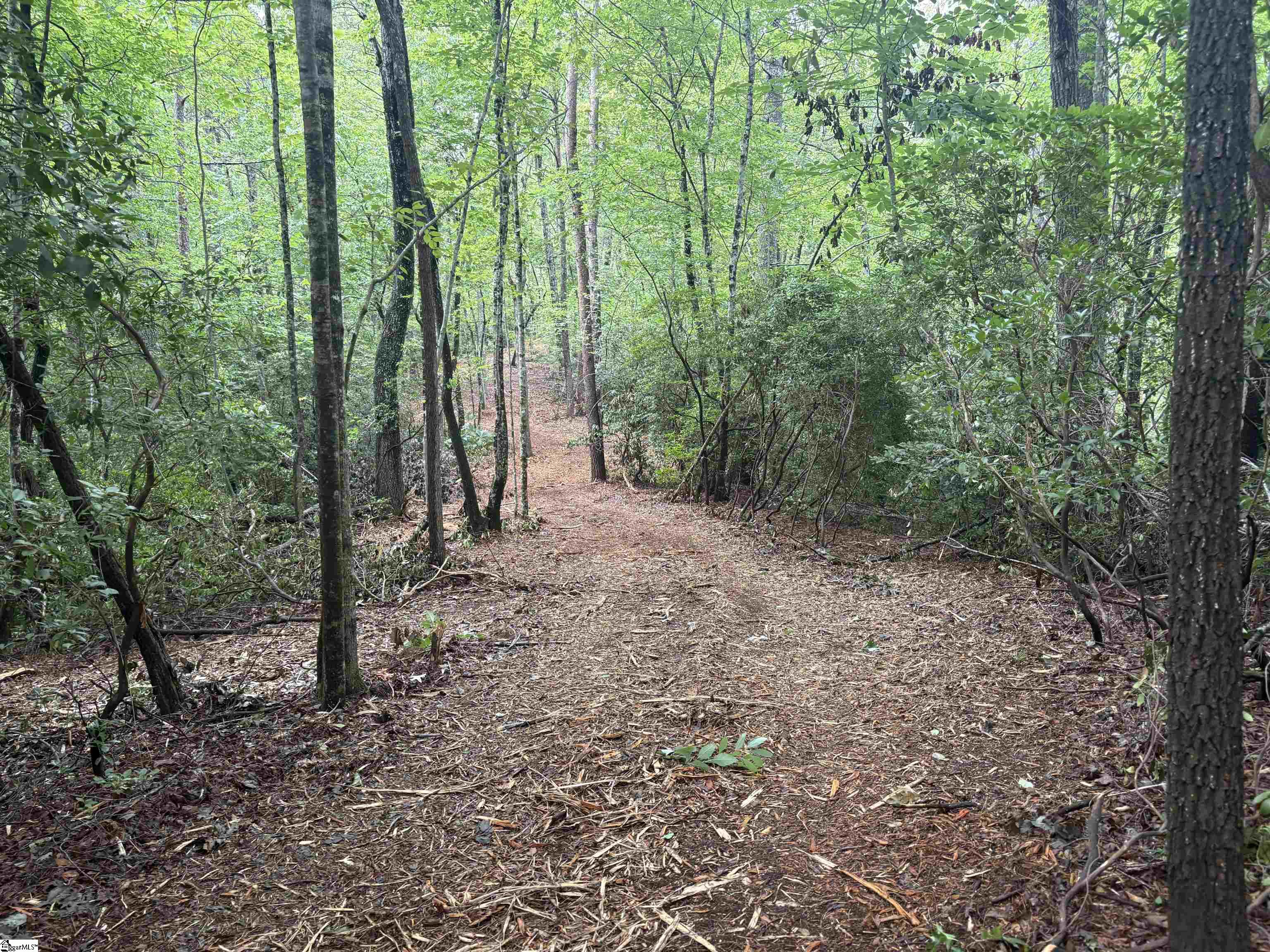 00 N Little River Road Property Photo 12