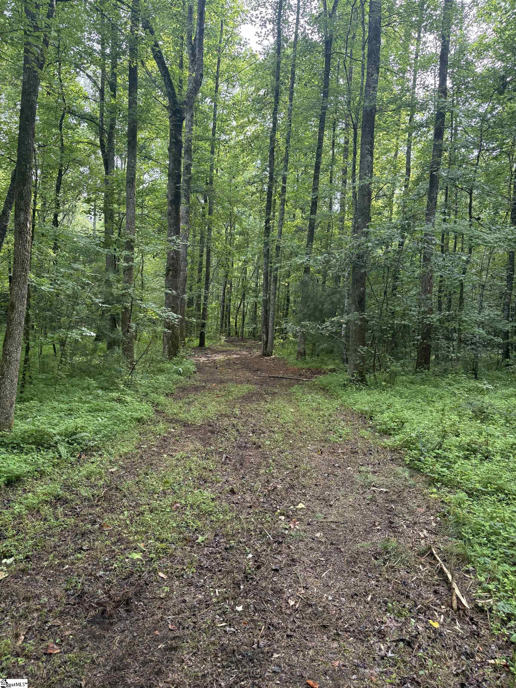 00 N Little River Road Property Photo 18