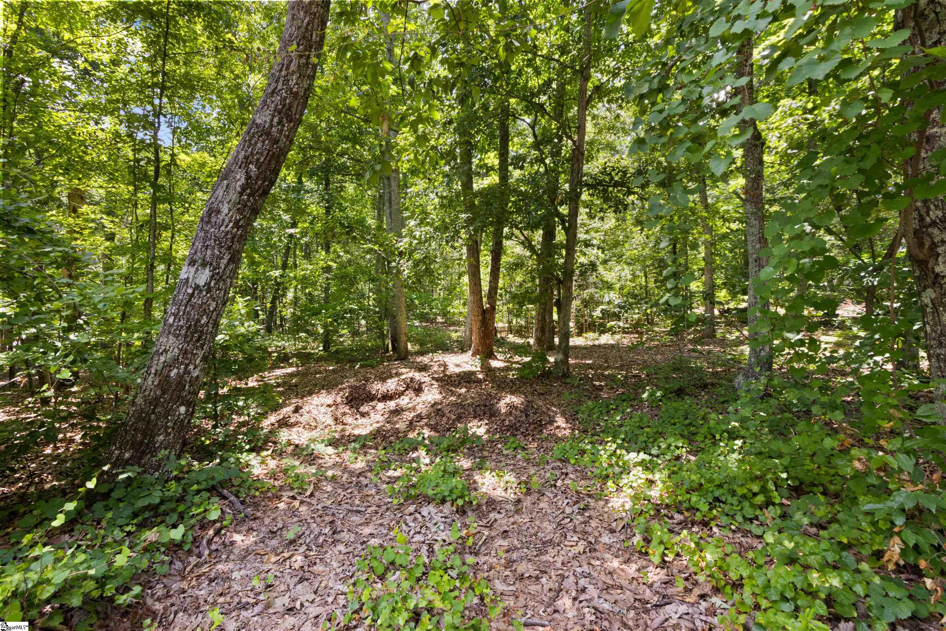 409 S Buckhorn Road Property Photo 4