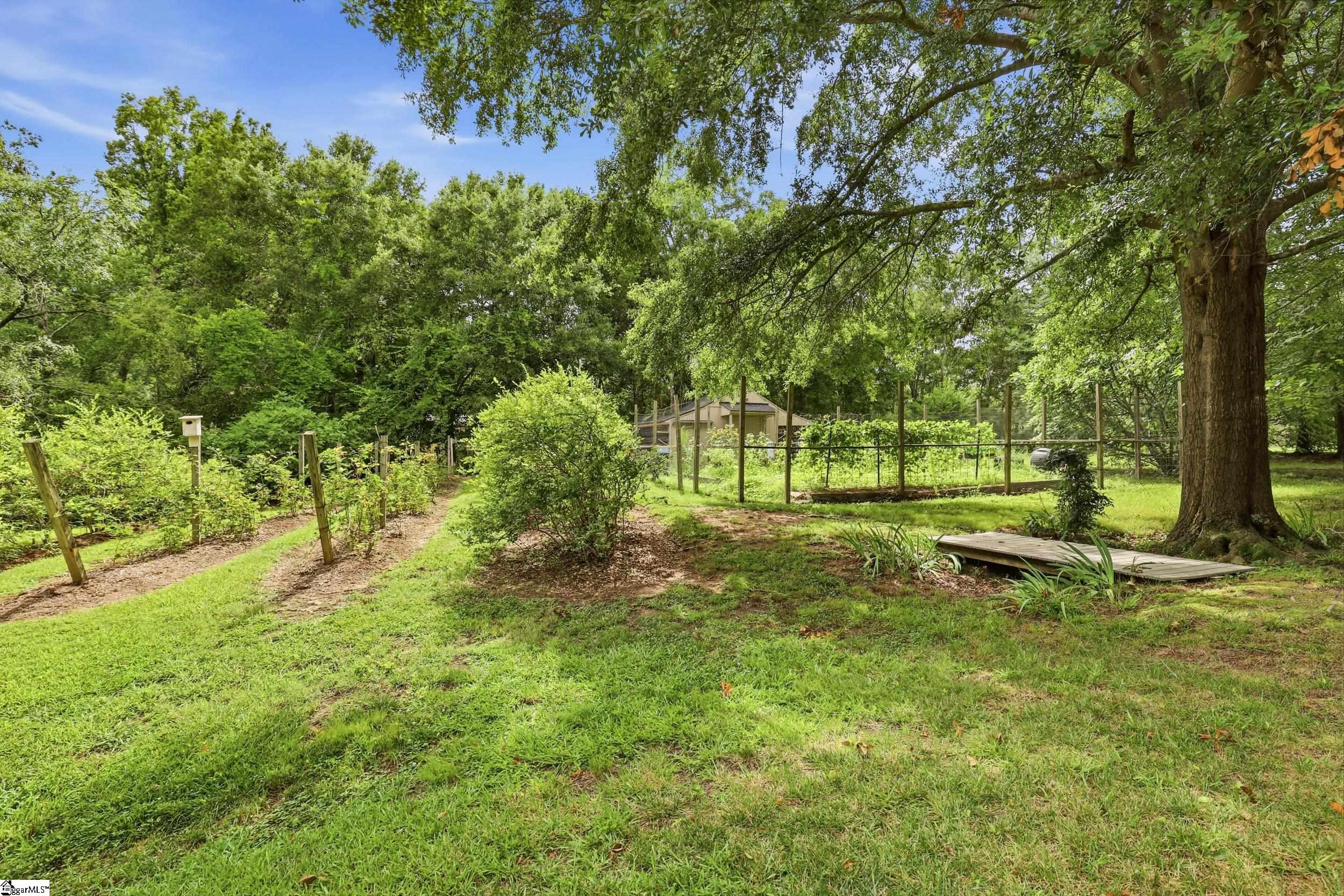 621 Jenkins Bridge Road Property Photo 45
