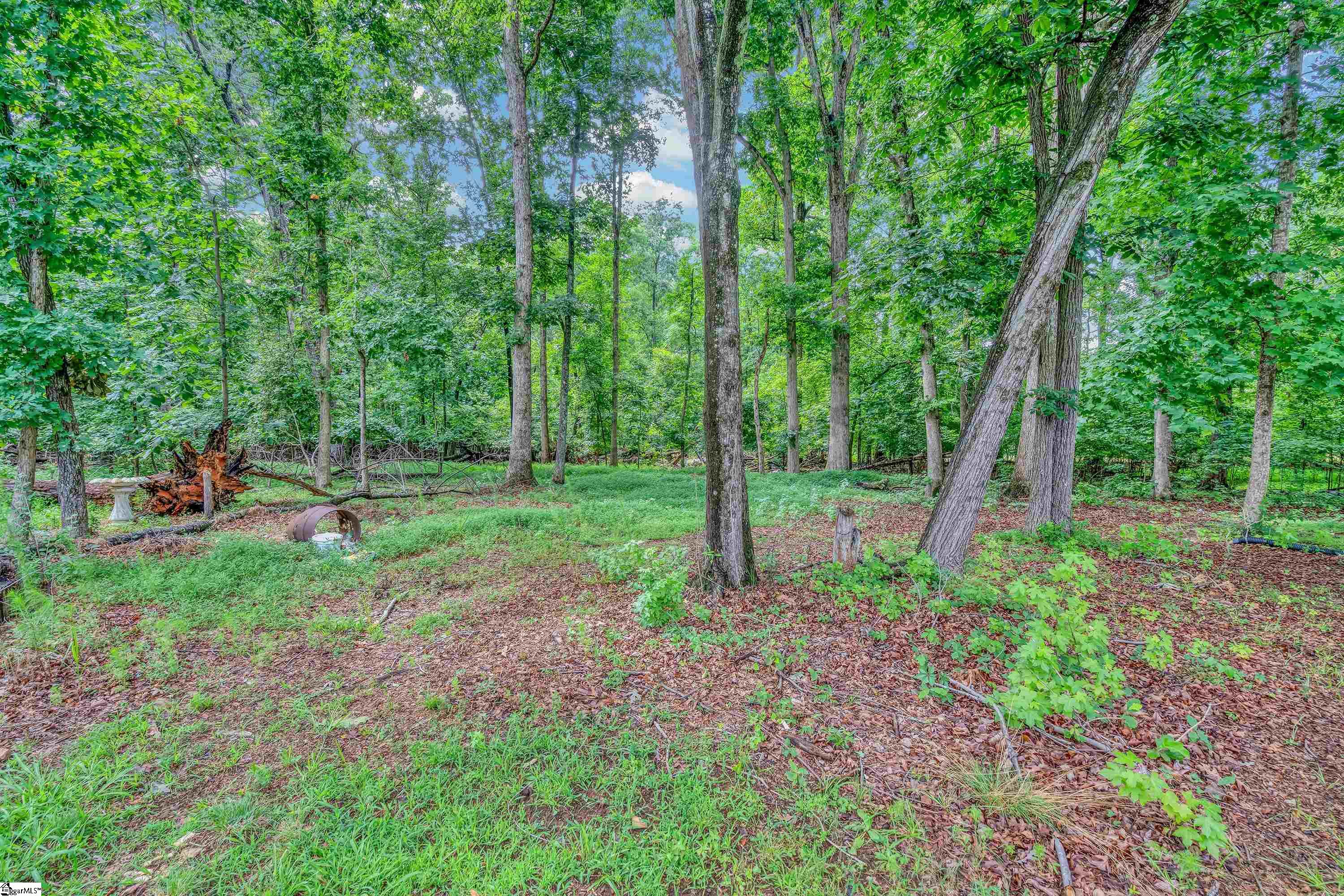 3641 New Cut Road Property Photo 27