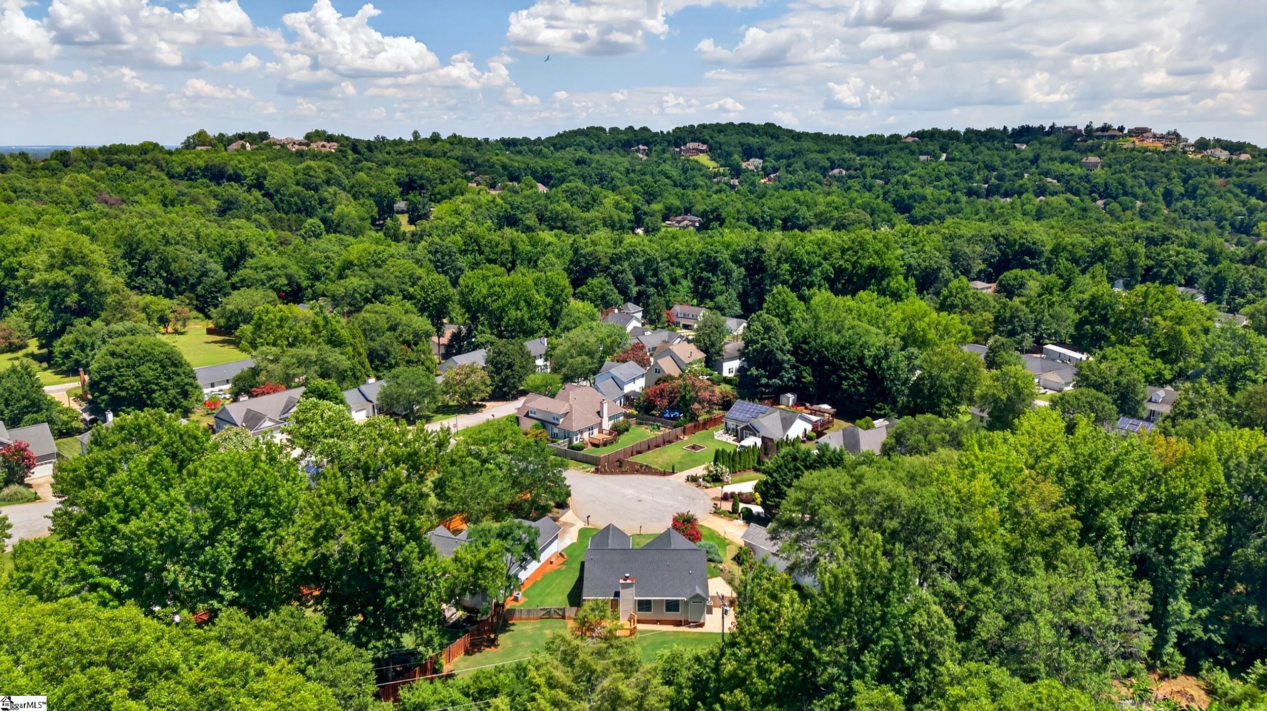 6 Mountain Trace Court Property Photo 28