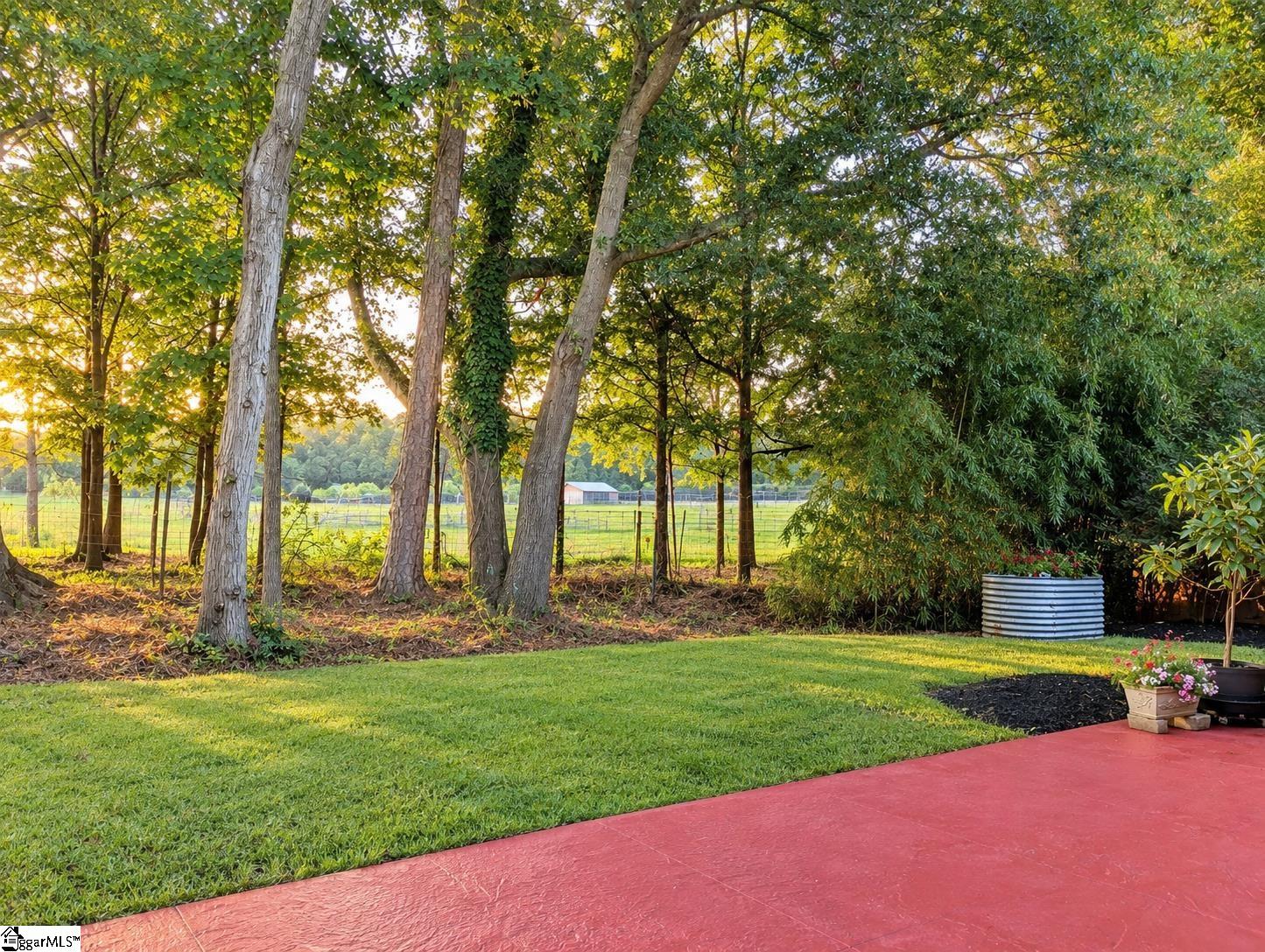 807 Terrace Creek Drive Property Photo 31
