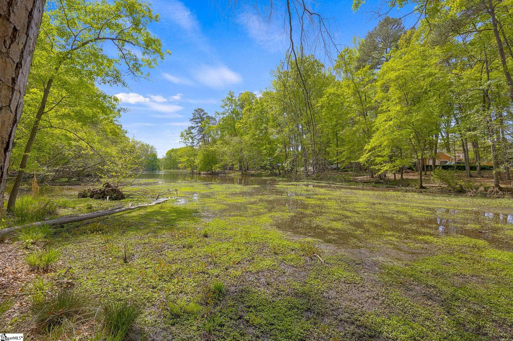 128 Edgecombe Road Property Photo 46