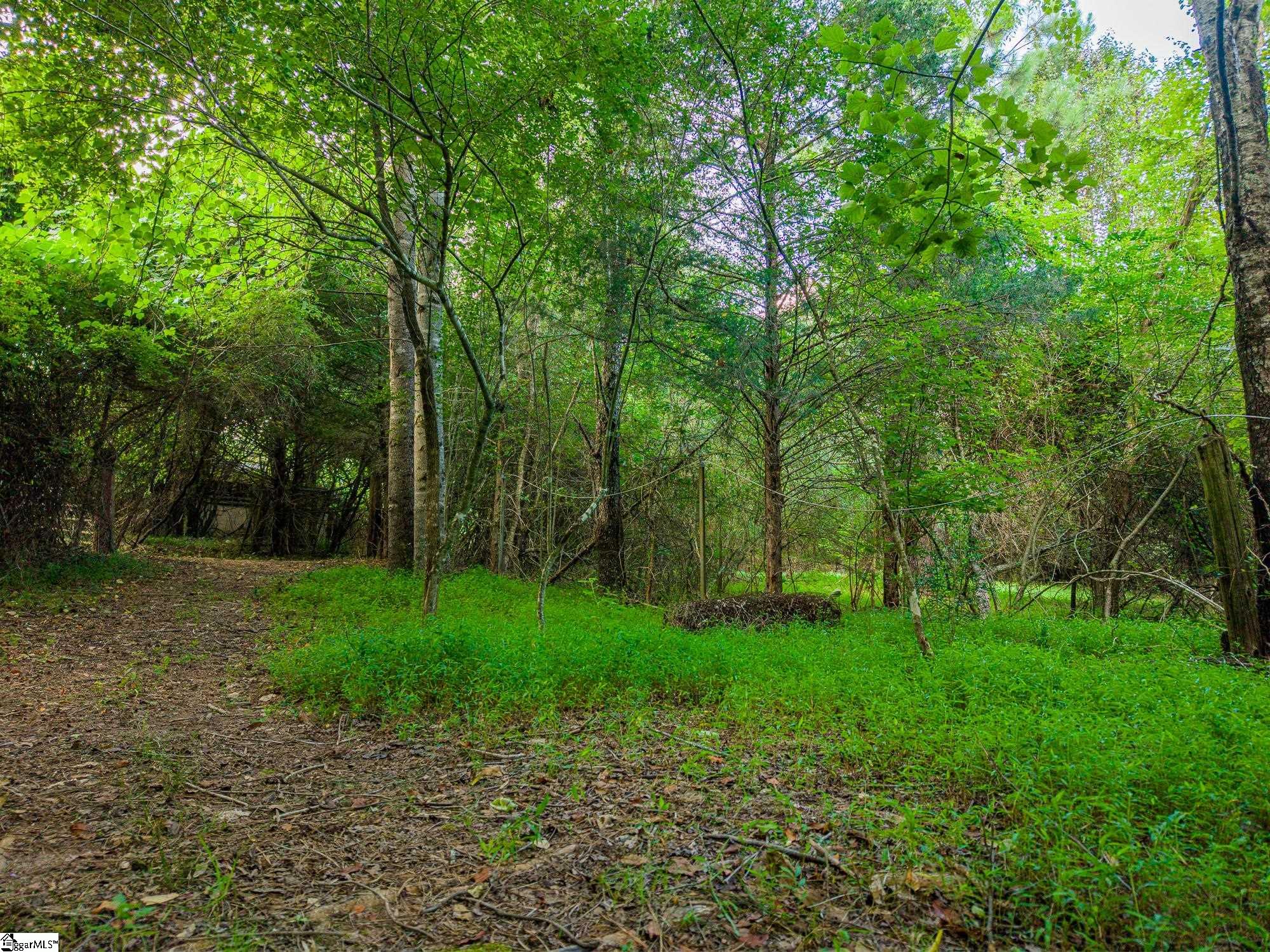 00 Six Mile Highway Property Photo 4