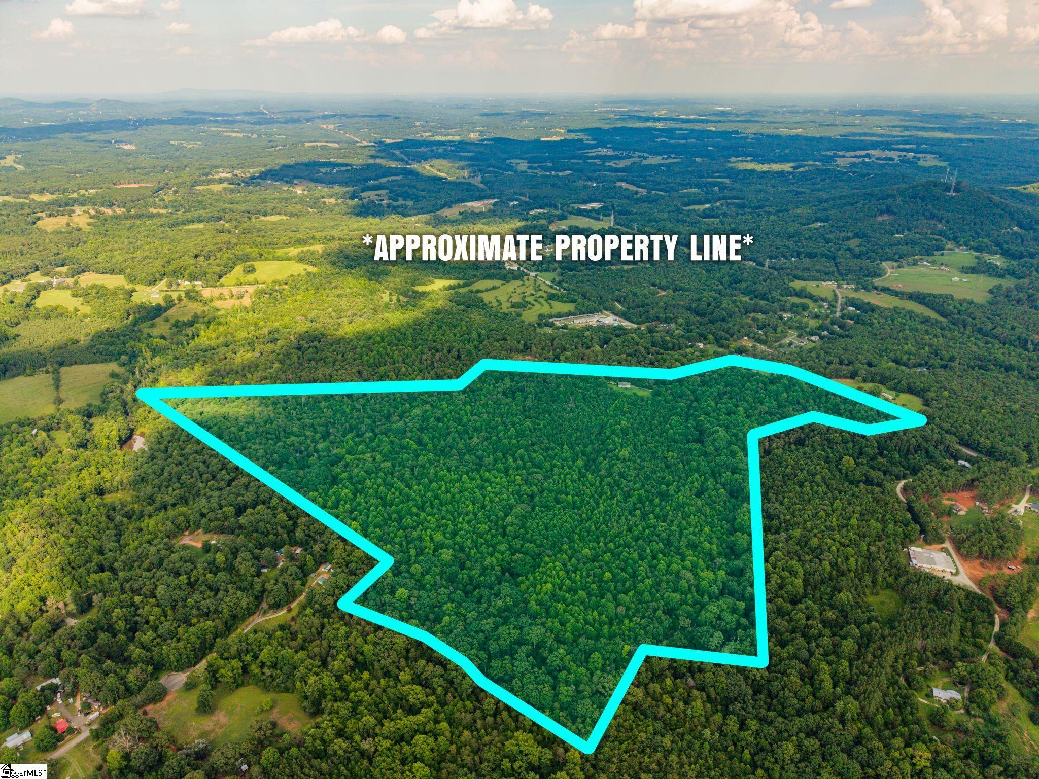 2904 Walhalla Highway Property Photo 2