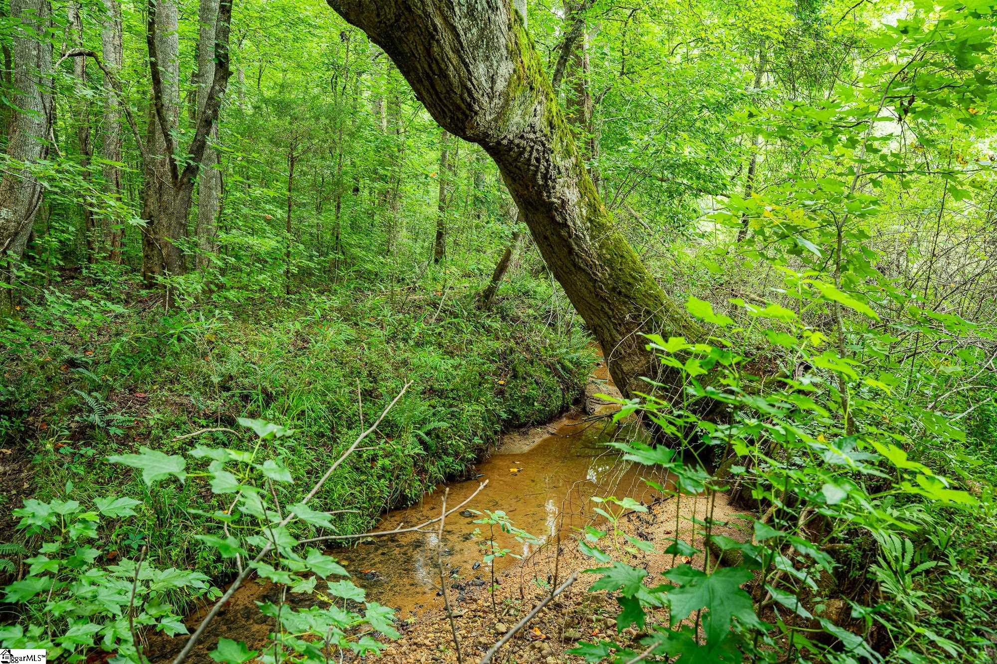 3371 Moorefield Memorial Highway Property Photo 7