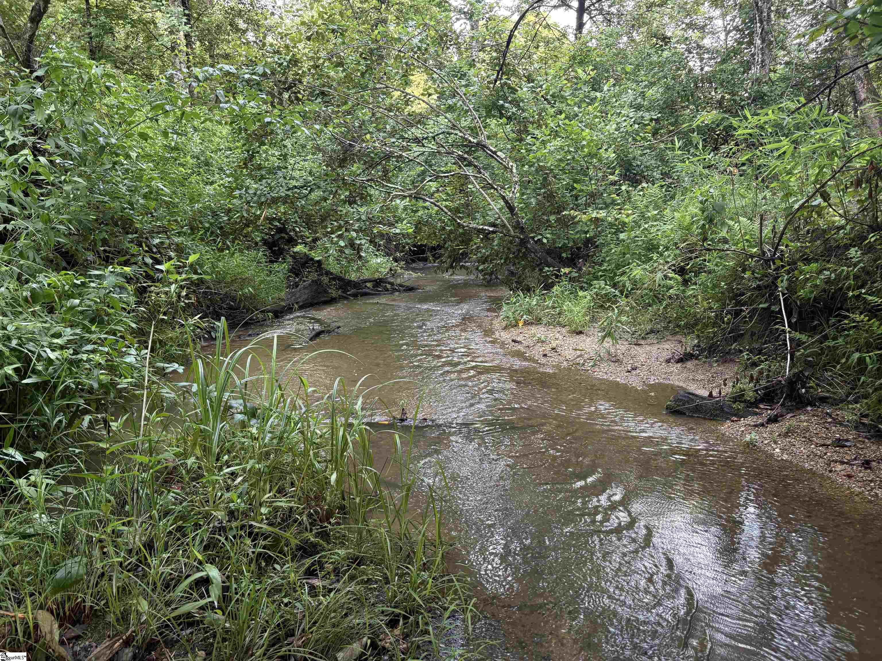 00 N Little River Road Property Photo 3