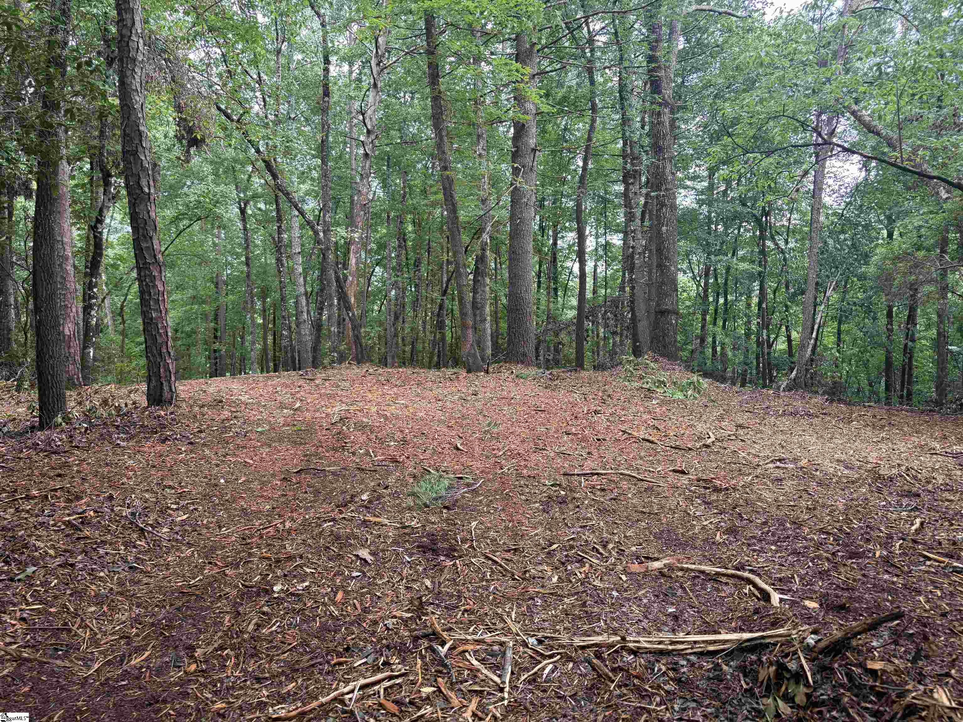 00 N Little River Road Property Photo 9