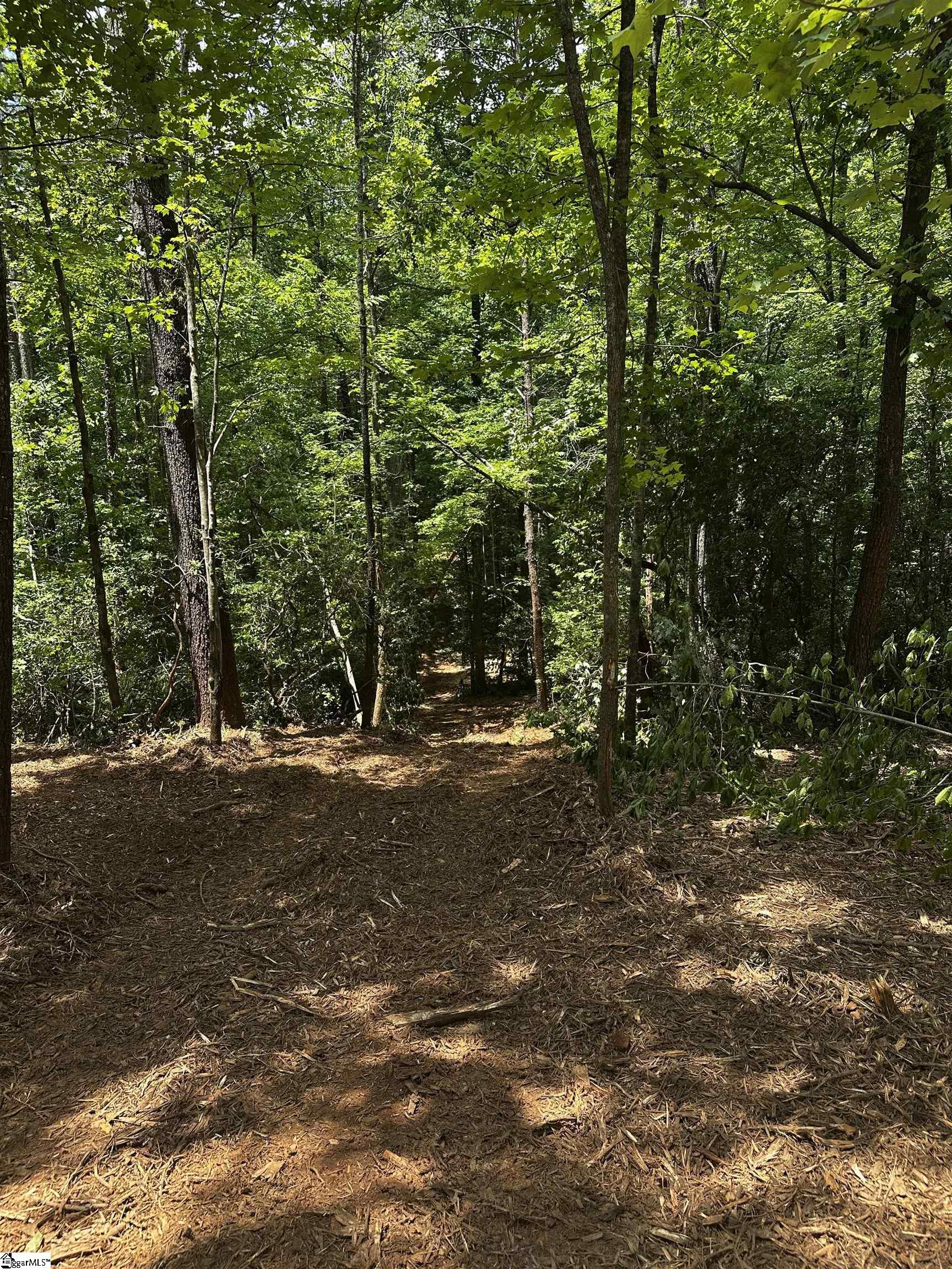 00 N Little River Road Property Photo 12