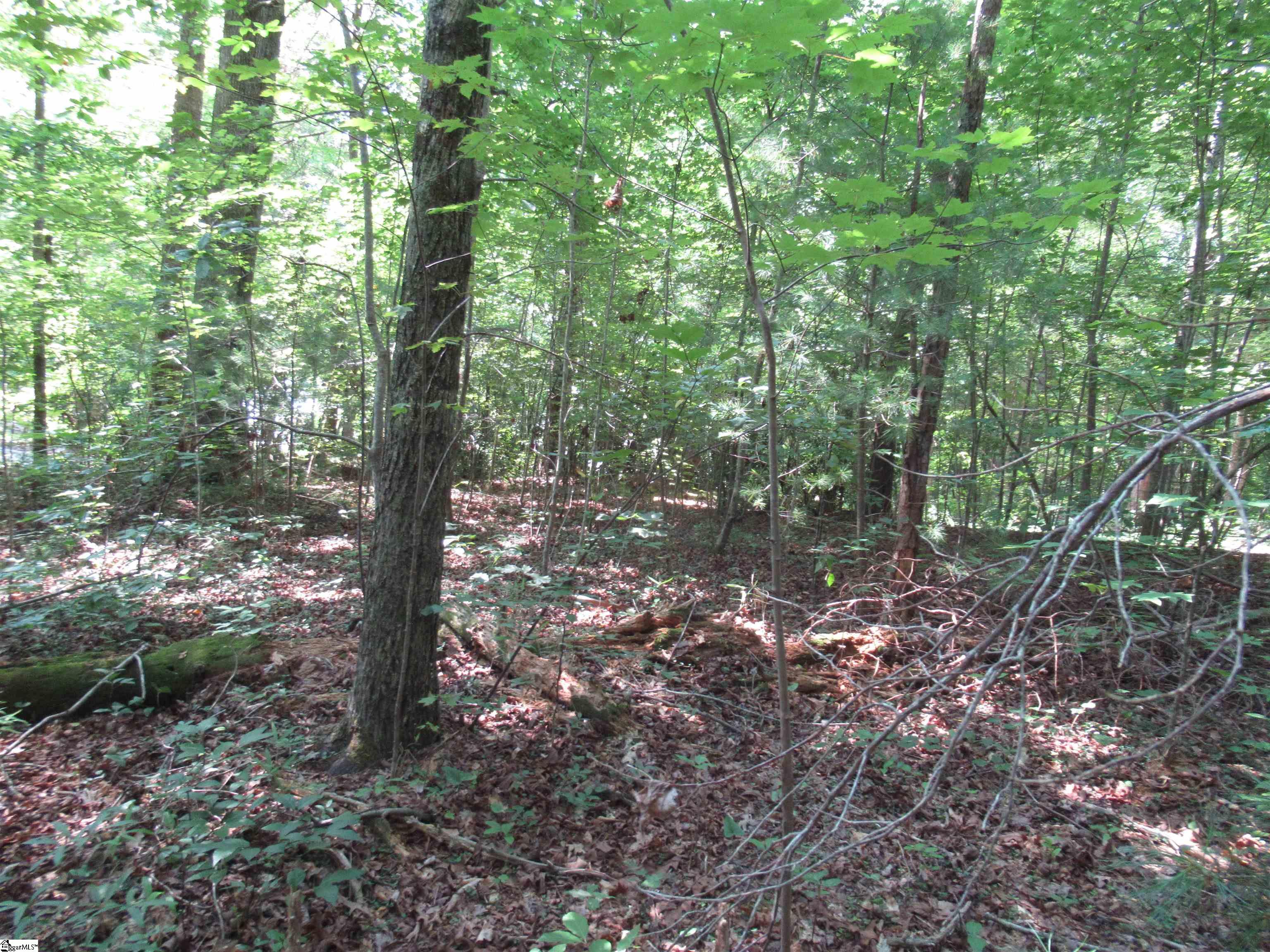 00 Gauley Falls Road Property Photo 3