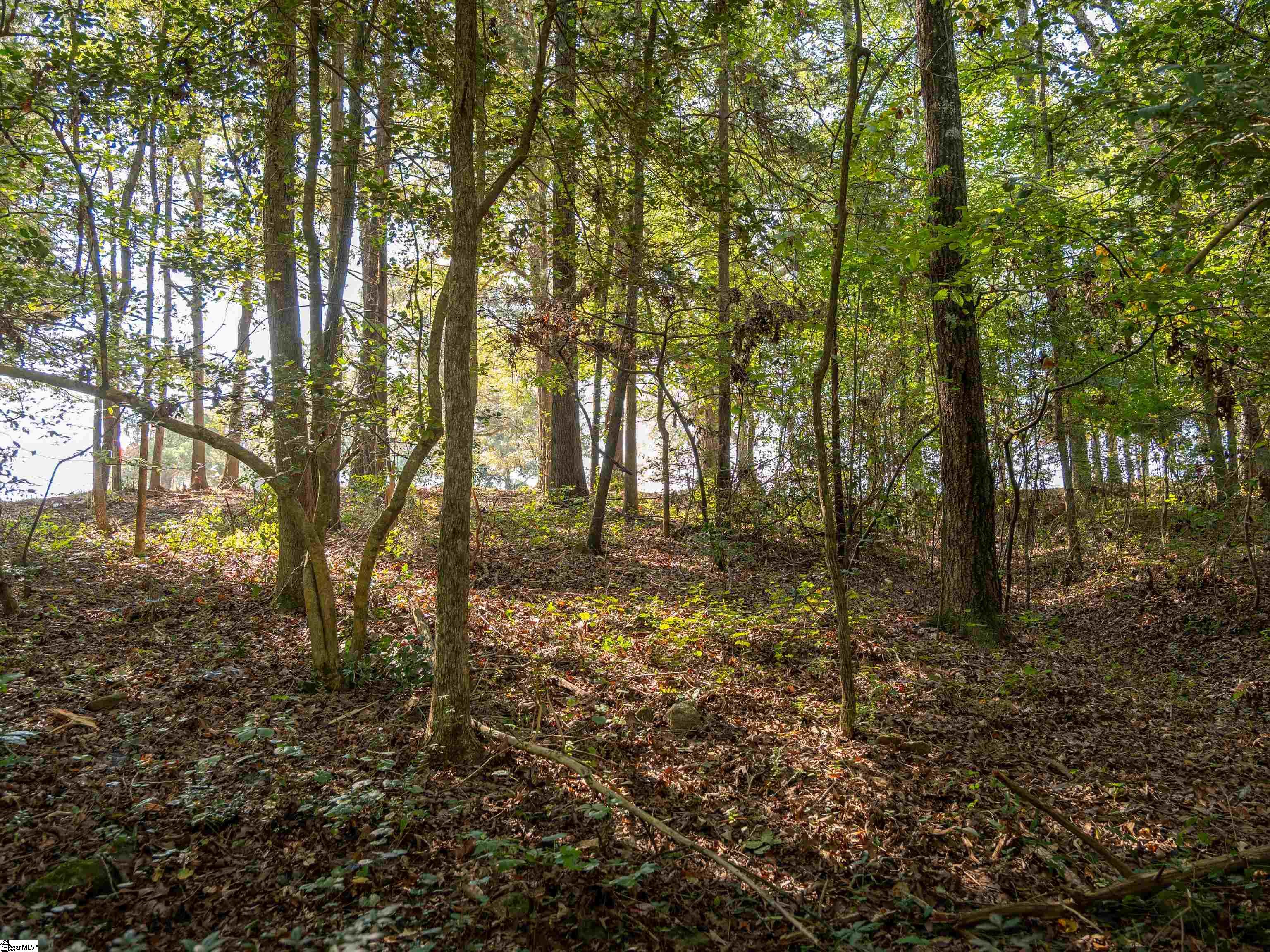 Gibson Road Property Photo 11