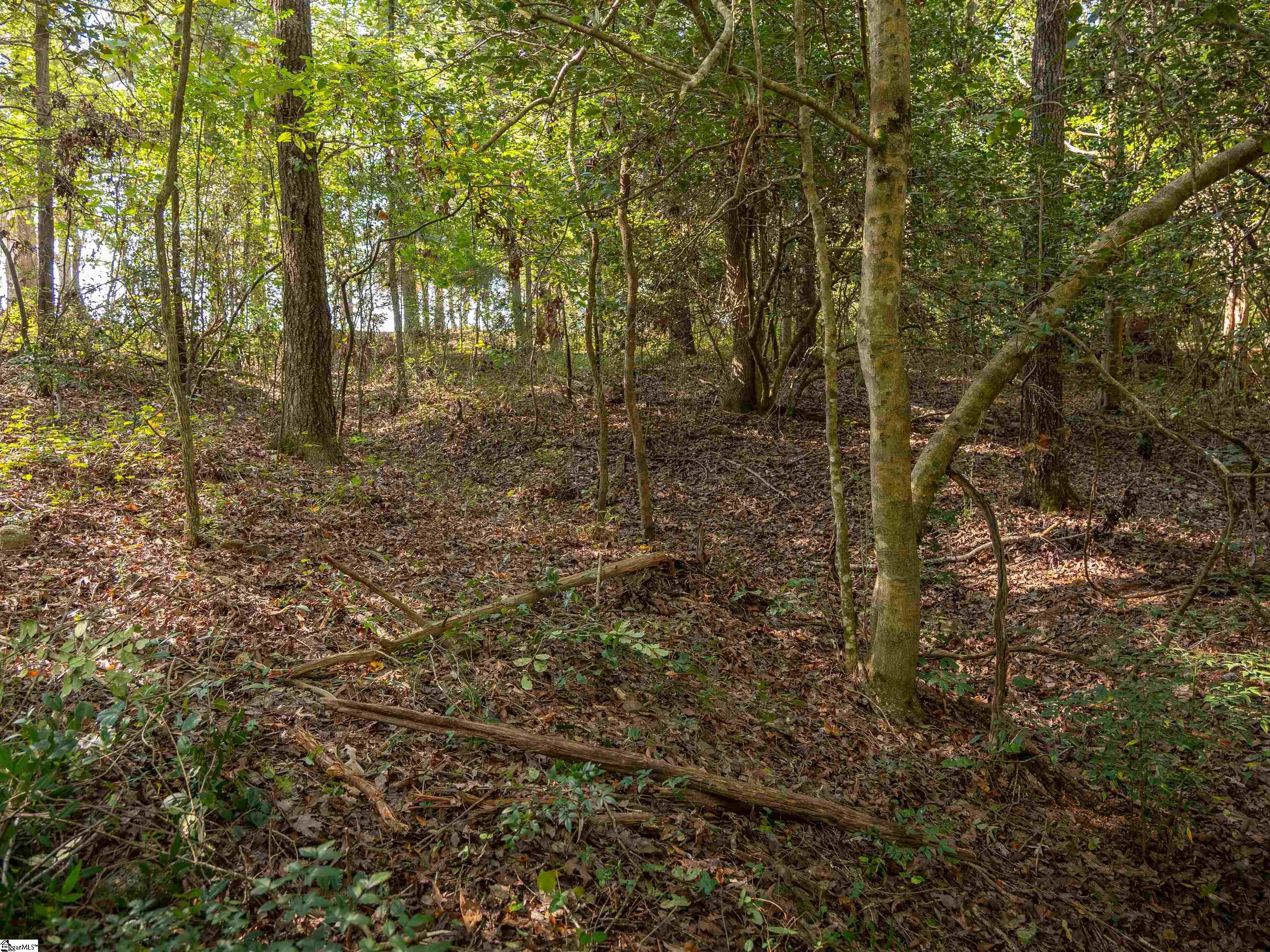 Gibson Road Property Photo 12