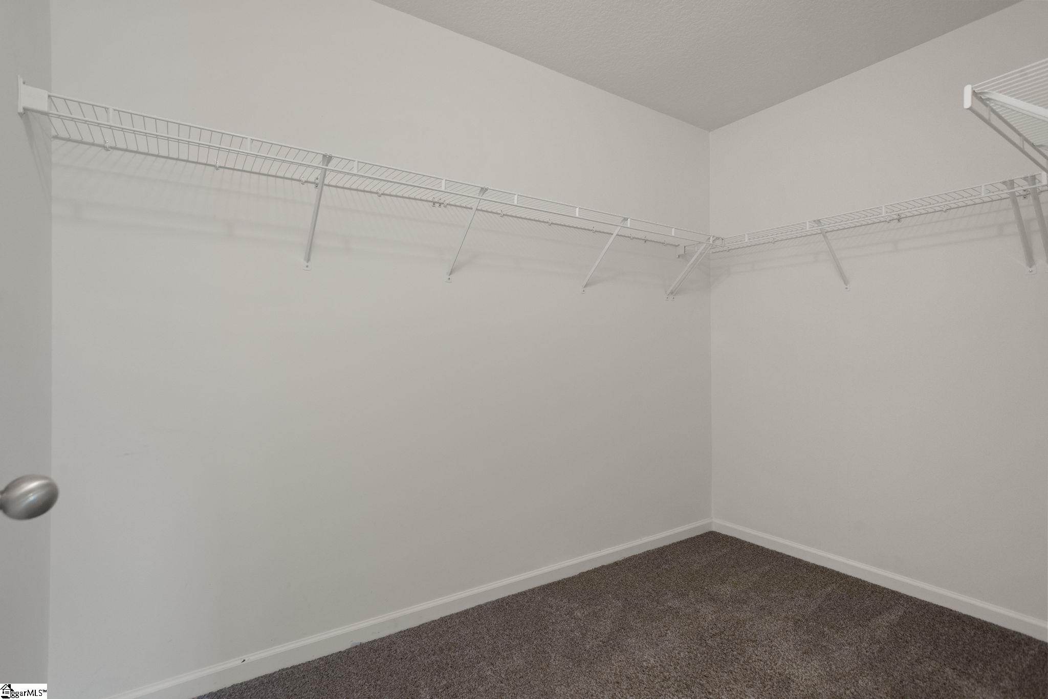 117 Ivy Trellis Court Property Photo 12