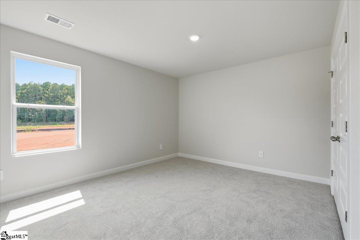 102 Swan Grove Trail Property Photo 14