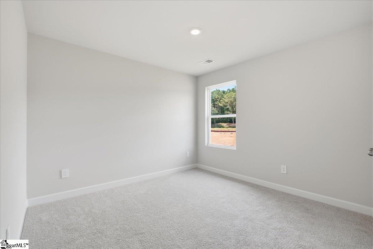 102 Swan Grove Trail Property Photo 16