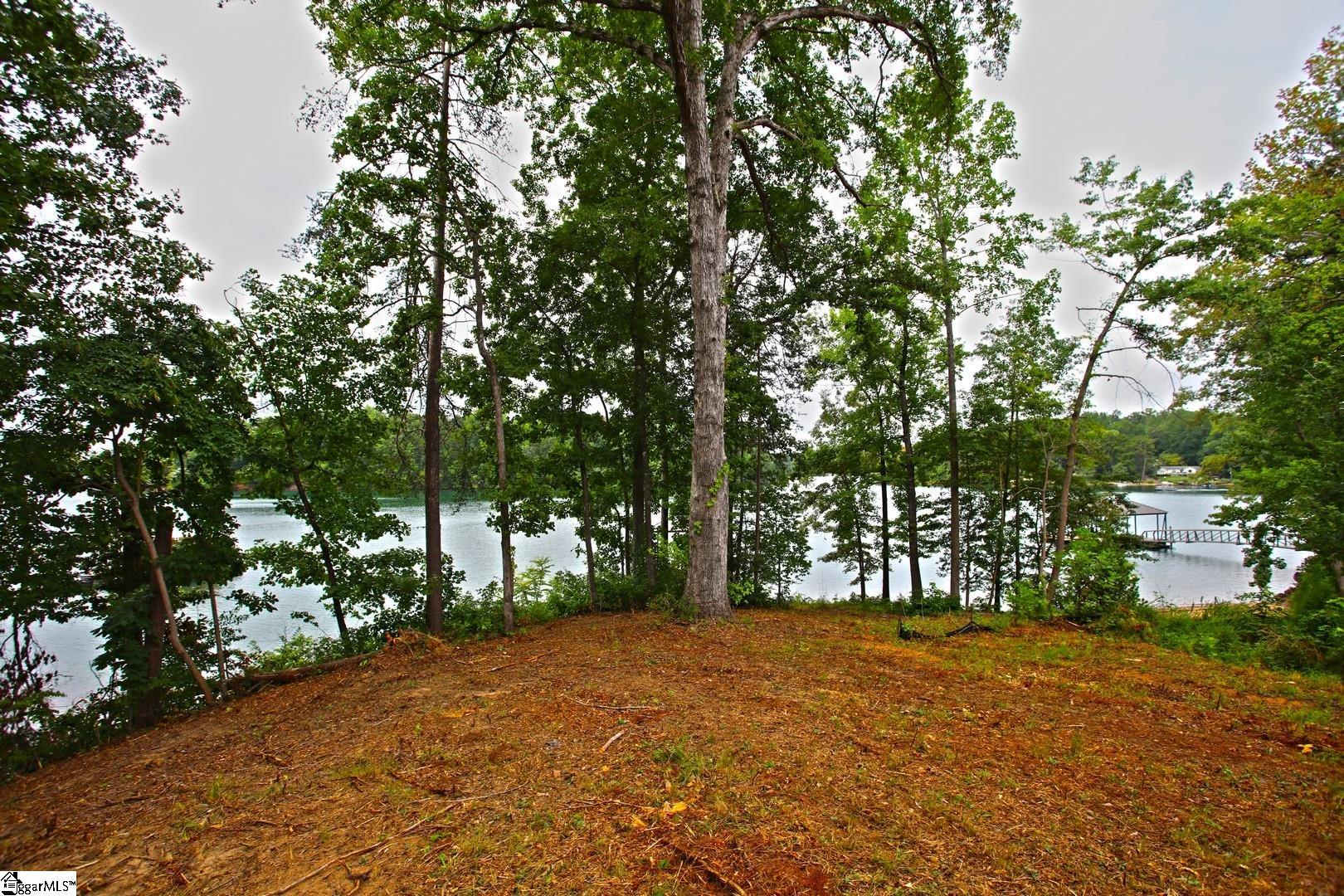 Tract B Golden Point Drive Property Photo 31