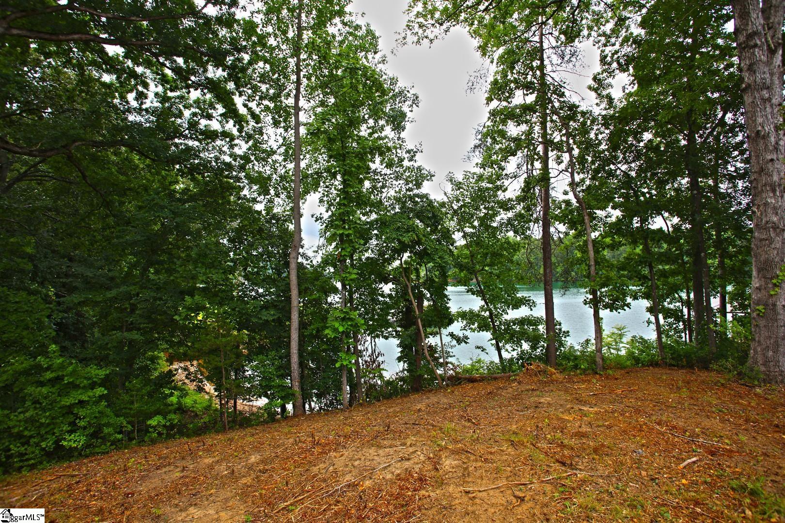 Tract B Golden Point Drive Property Photo 33