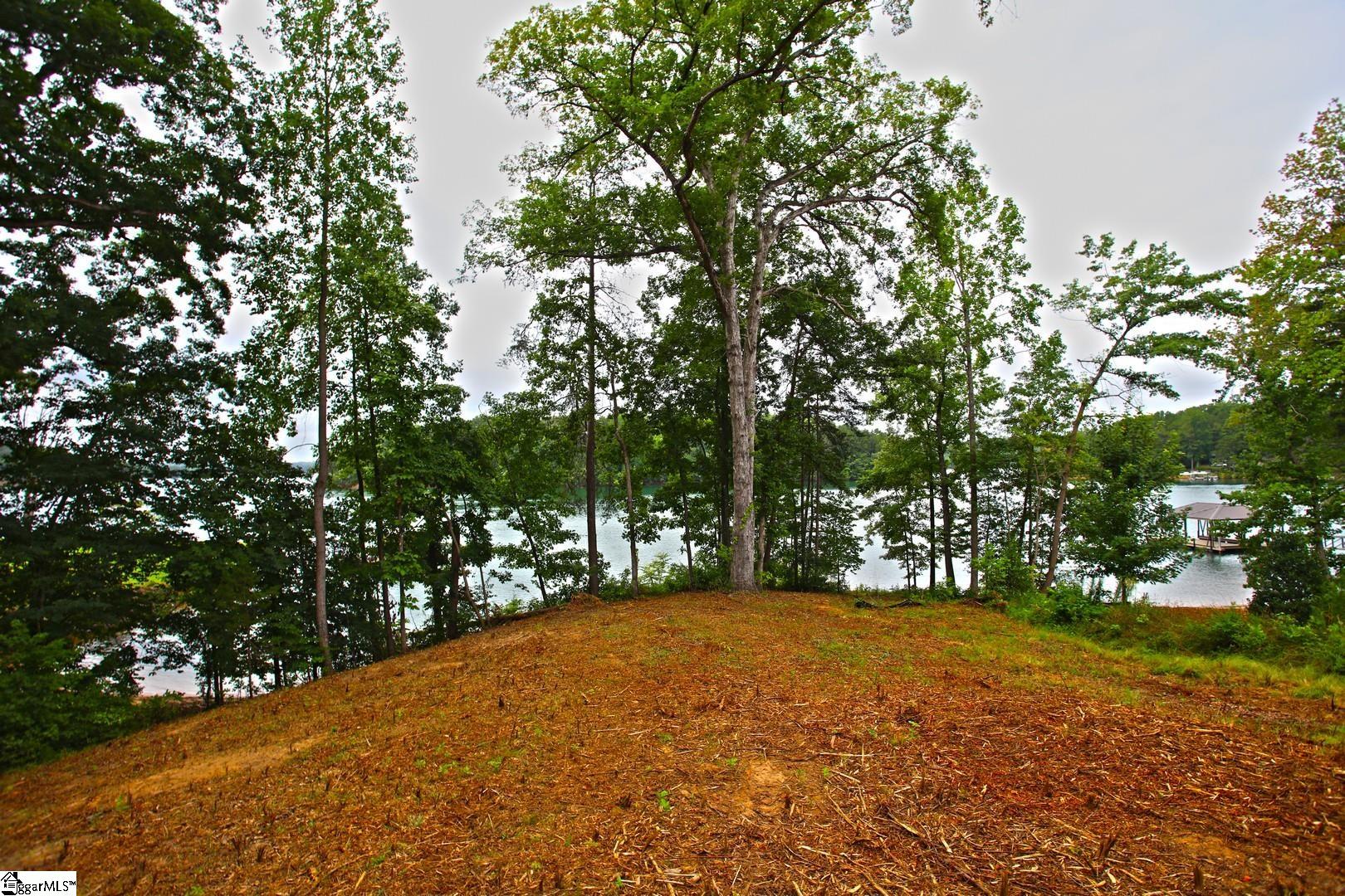 Tract B Golden Point Drive Property Photo 34