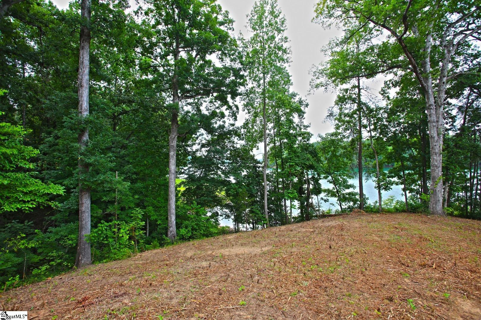 Tract B Golden Point Drive Property Photo 36