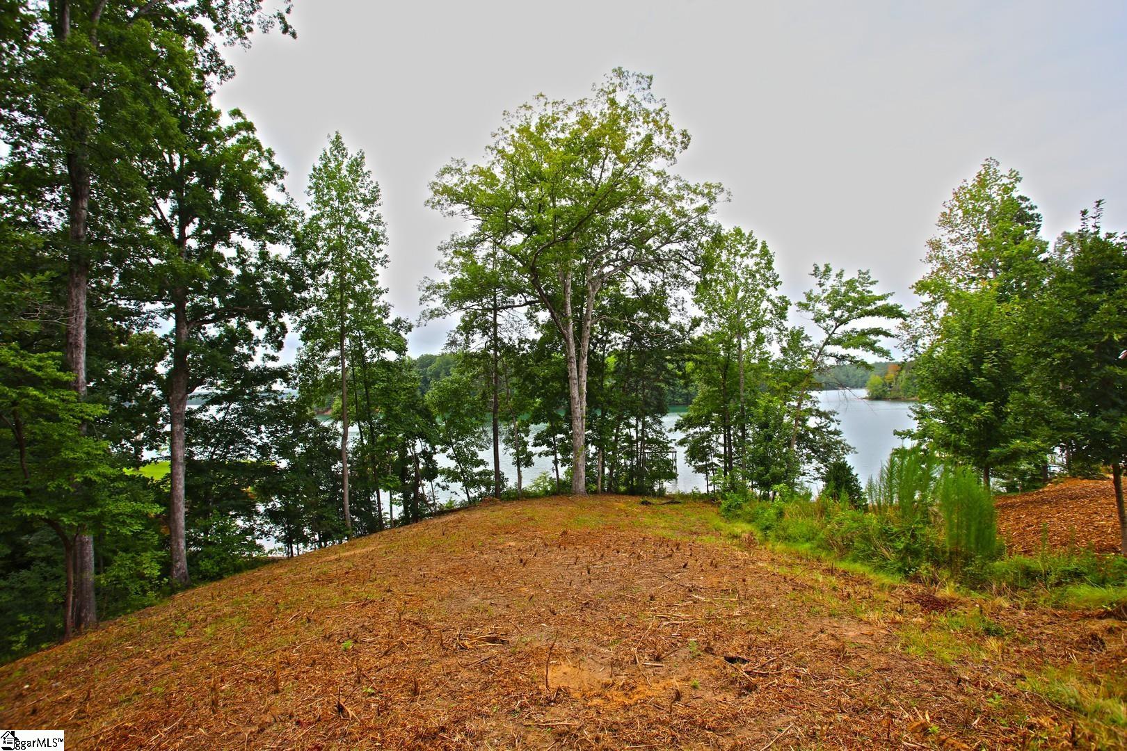 Tract B Golden Point Drive Property Photo 37