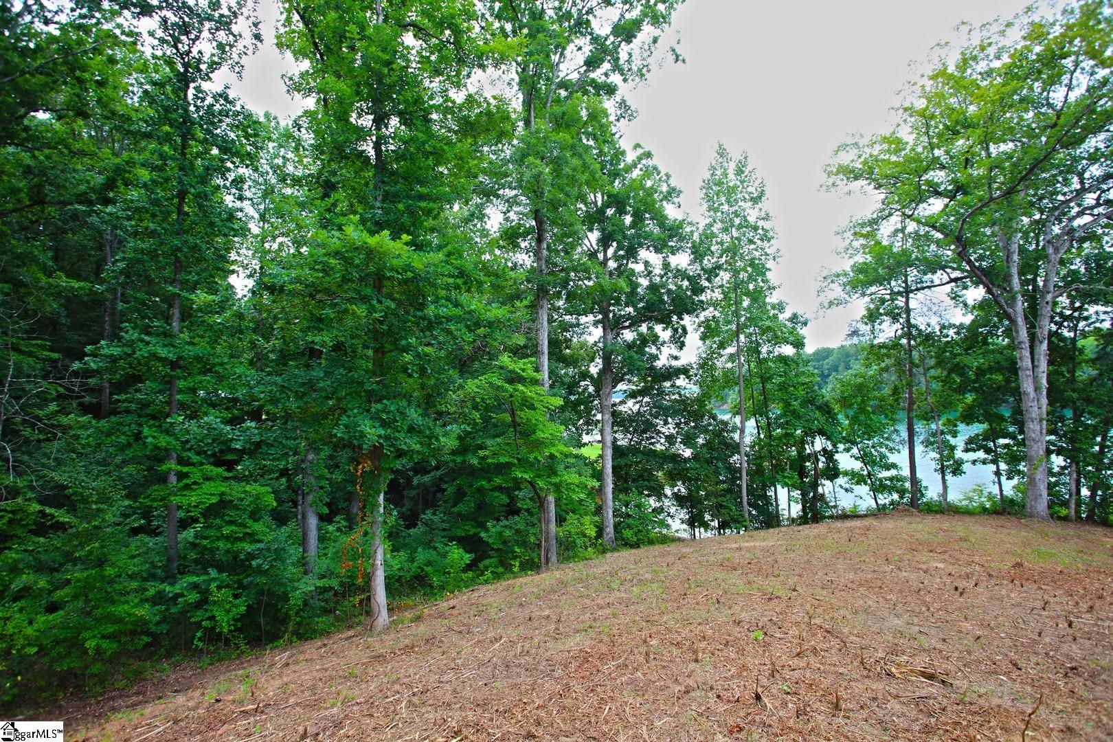 Tract B Golden Point Drive Property Photo 39