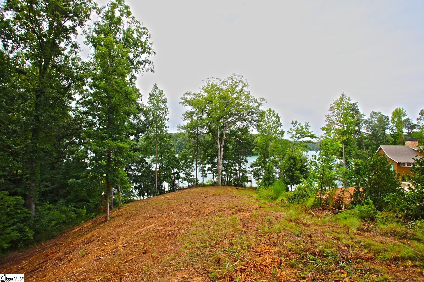 Tract B Golden Point Drive Property Photo 40
