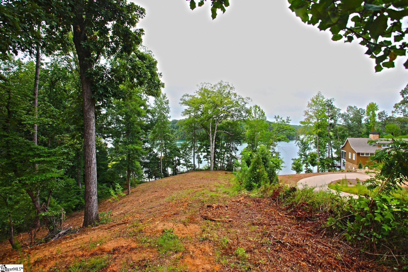 Tract B Golden Point Drive Property Photo 41