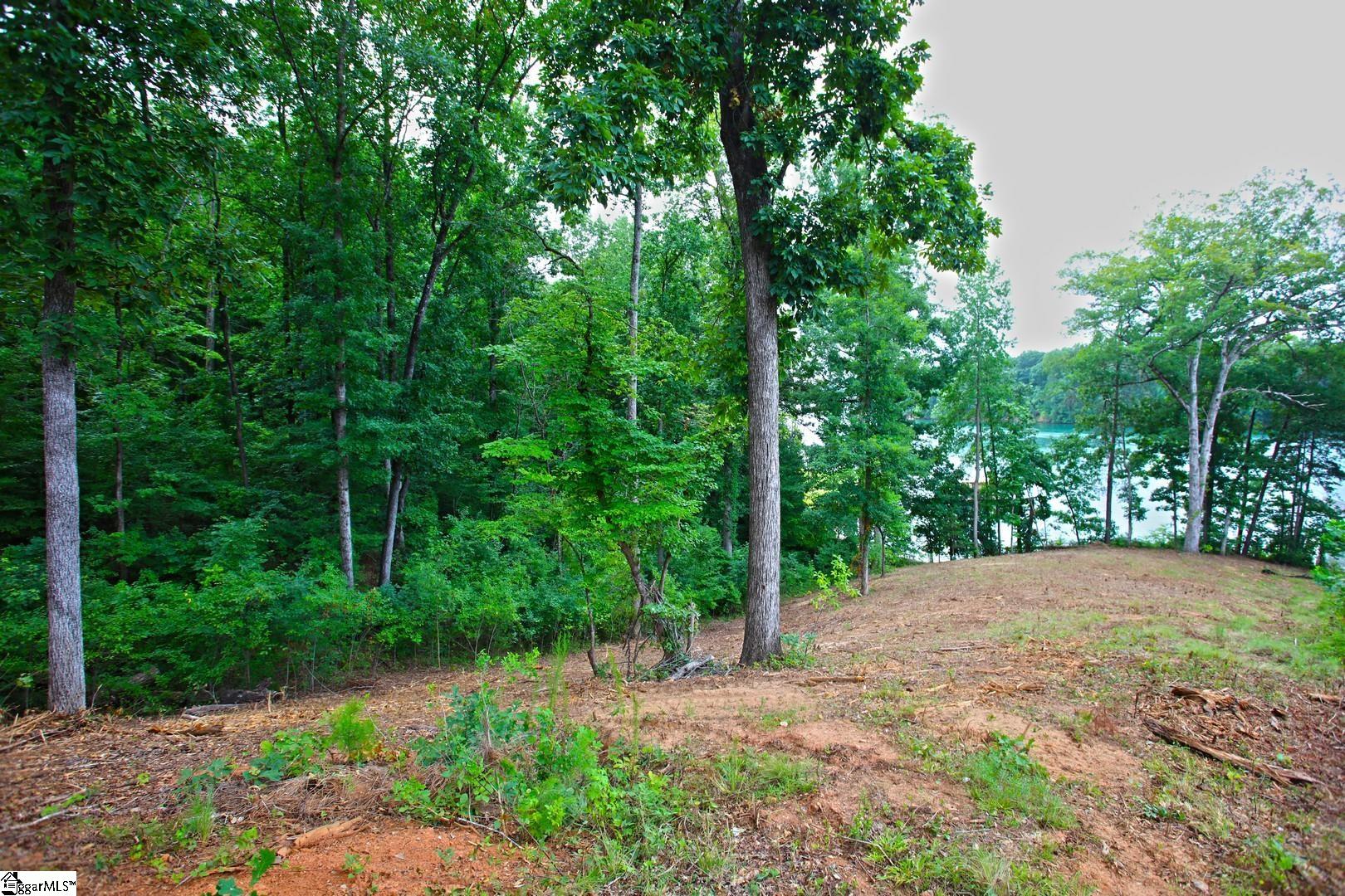 Tract B Golden Point Drive Property Photo 42