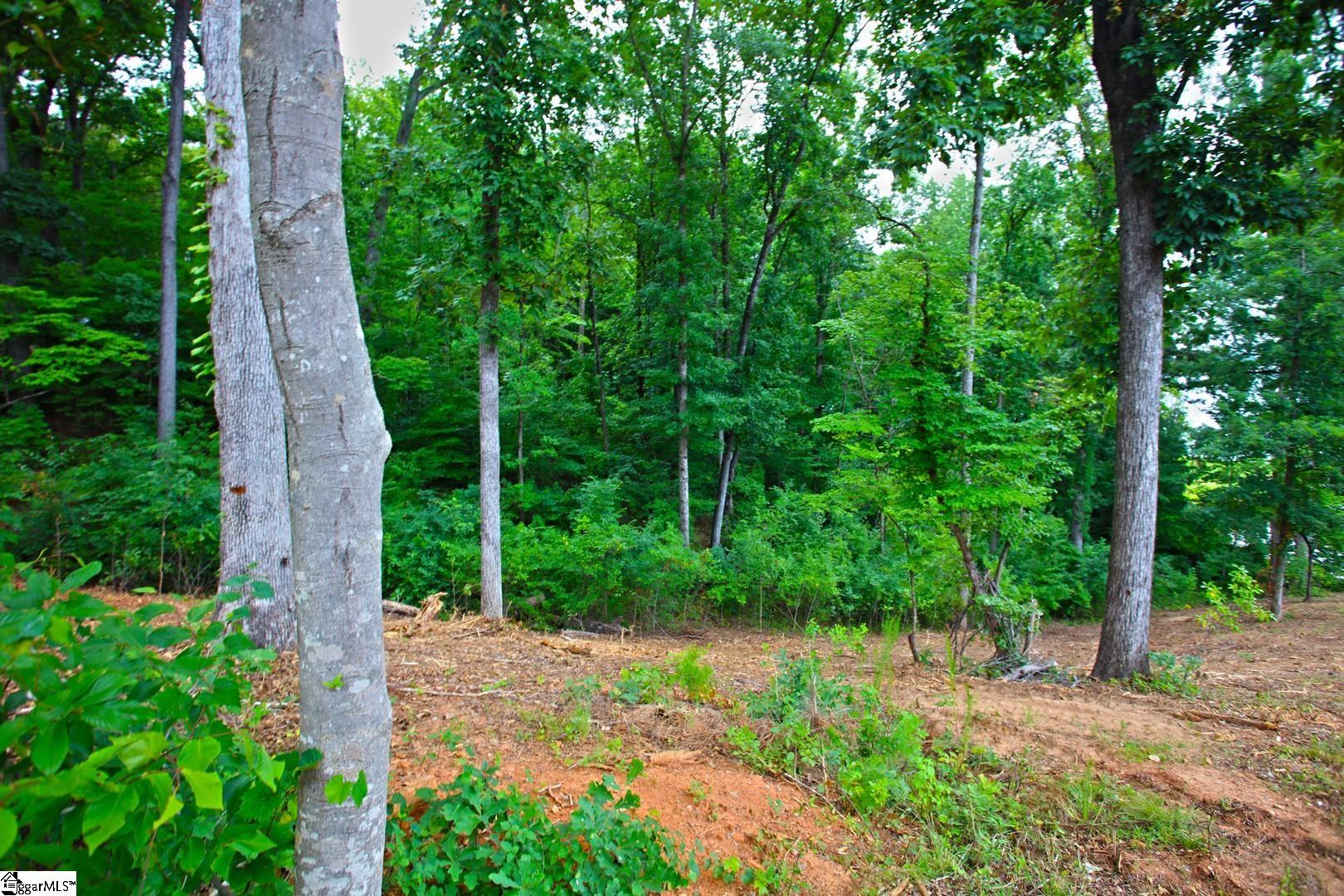 Tract B Golden Point Drive Property Photo 43