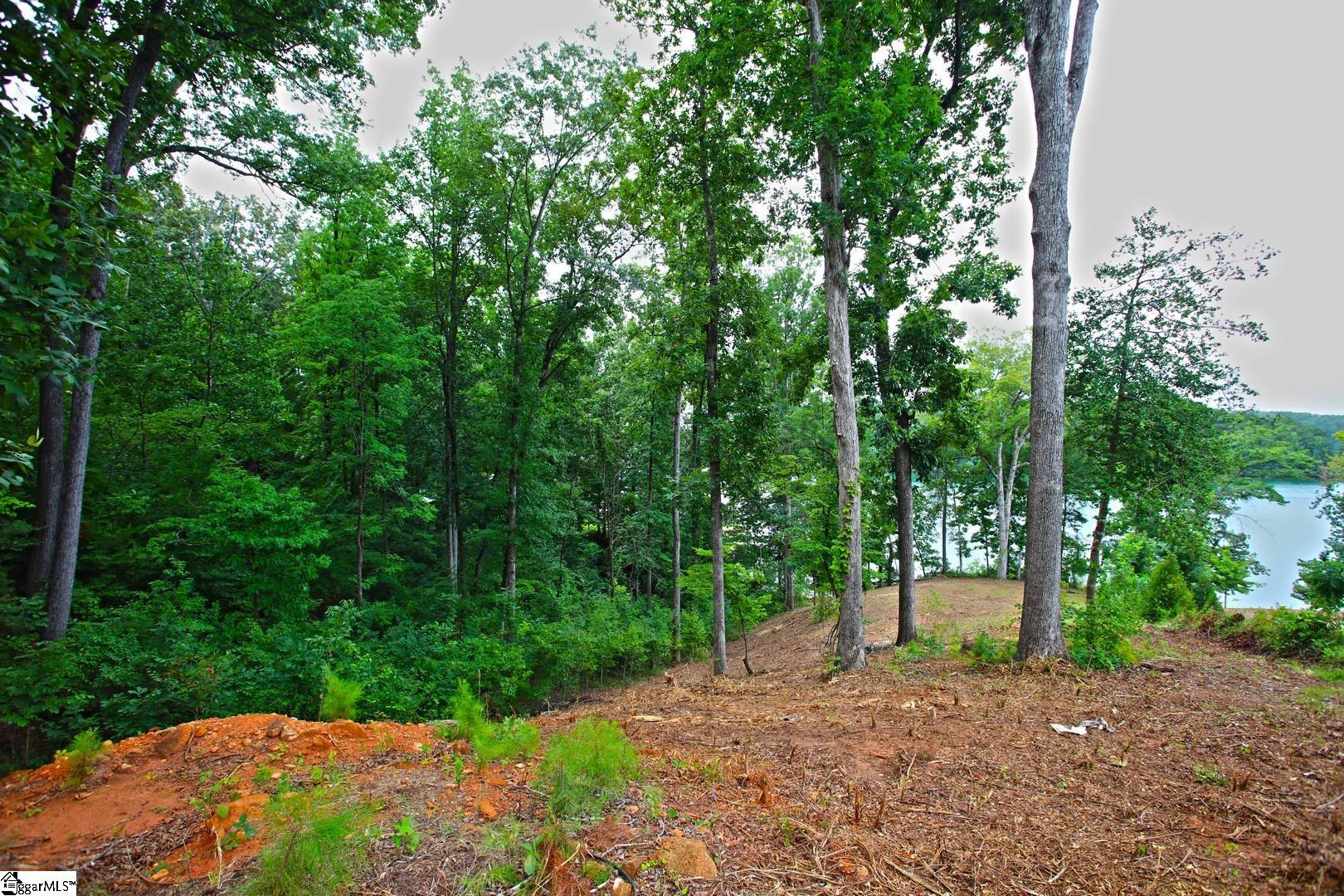 Tract B Golden Point Drive Property Photo 44