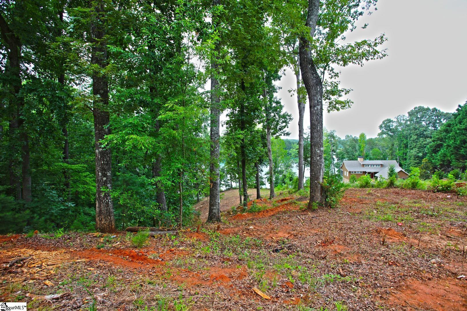 Tract B Golden Point Drive Property Photo 46
