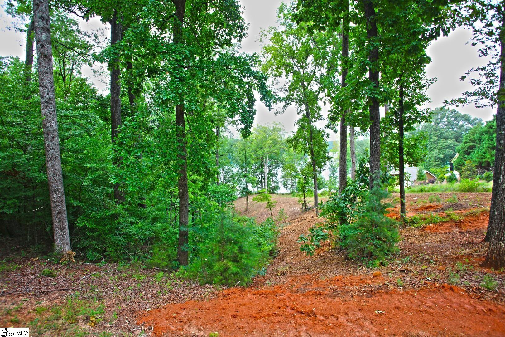 Tract B Golden Point Drive Property Photo 47