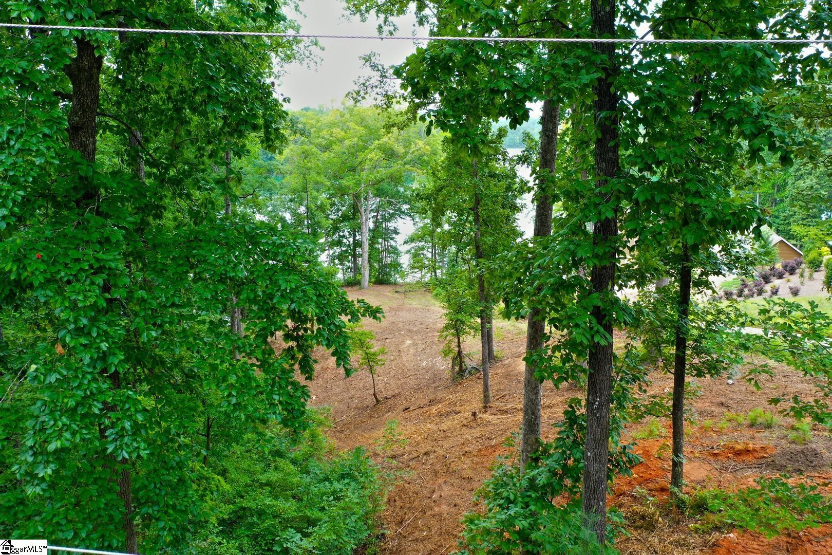 Tract B Golden Point Drive Property Photo 48