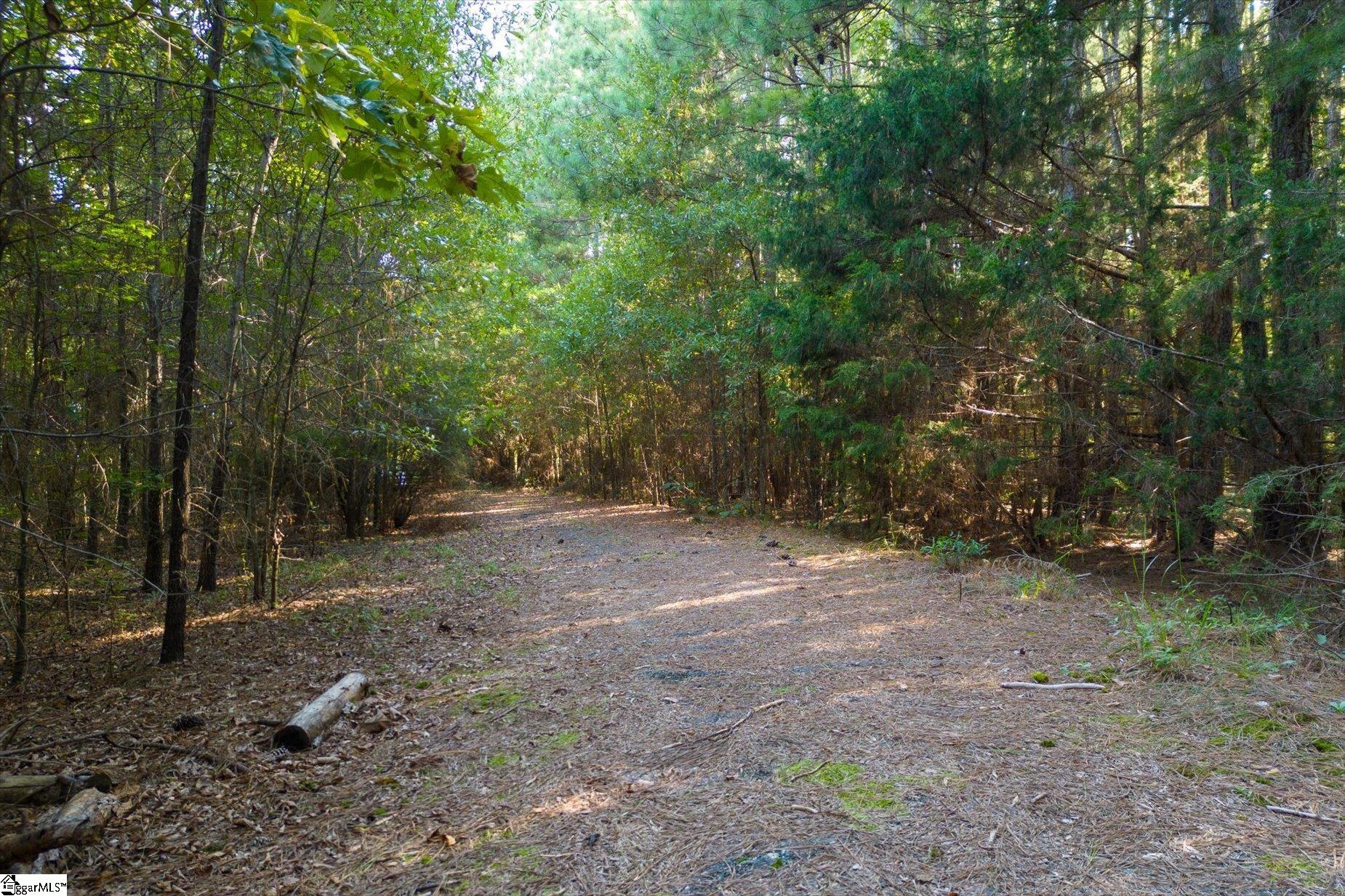 737 Burnt Mill Creek Road Property Photo 26
