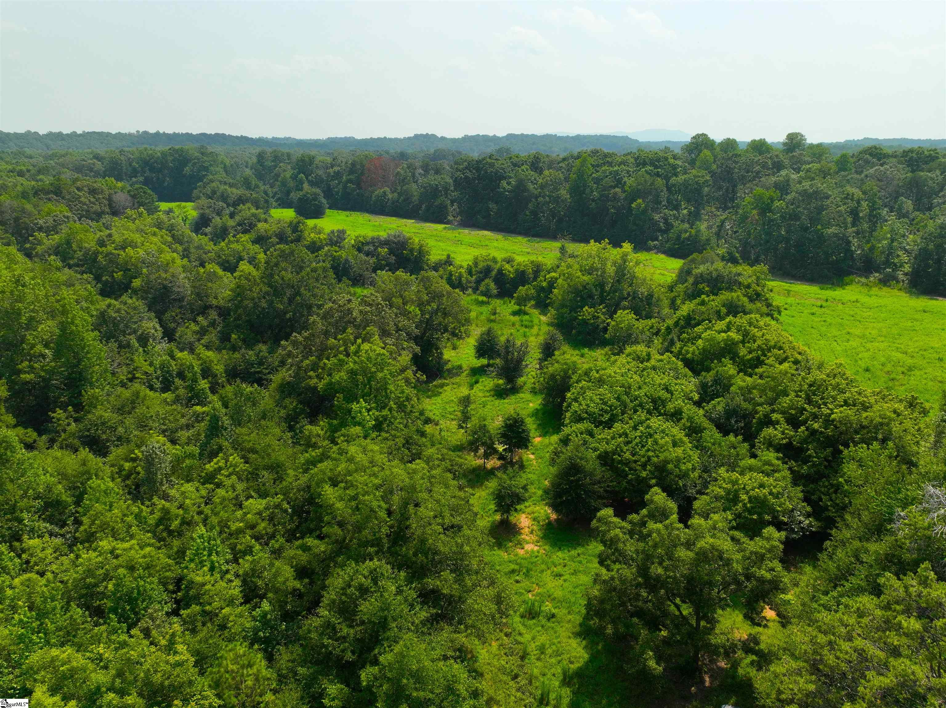 3961 Forrester Road Property Photo 8