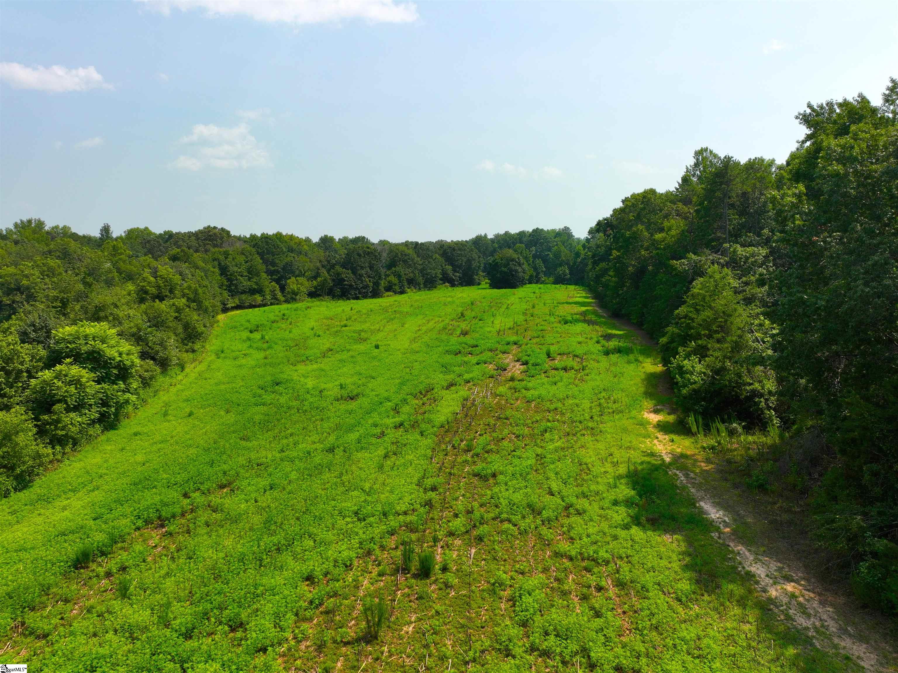 3961 Forrester Road Property Photo 9
