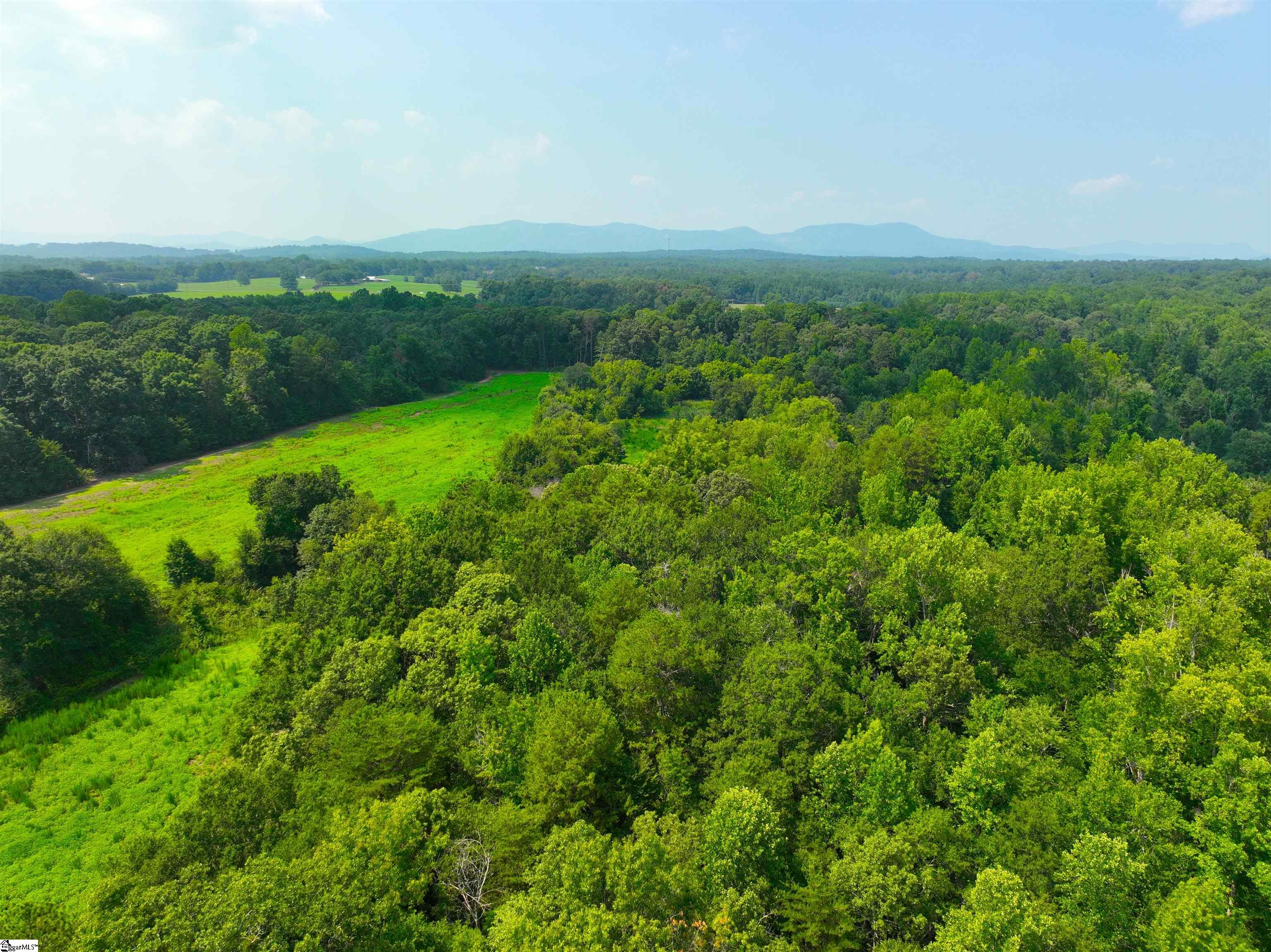 3961 Forrester Road Property Photo 31