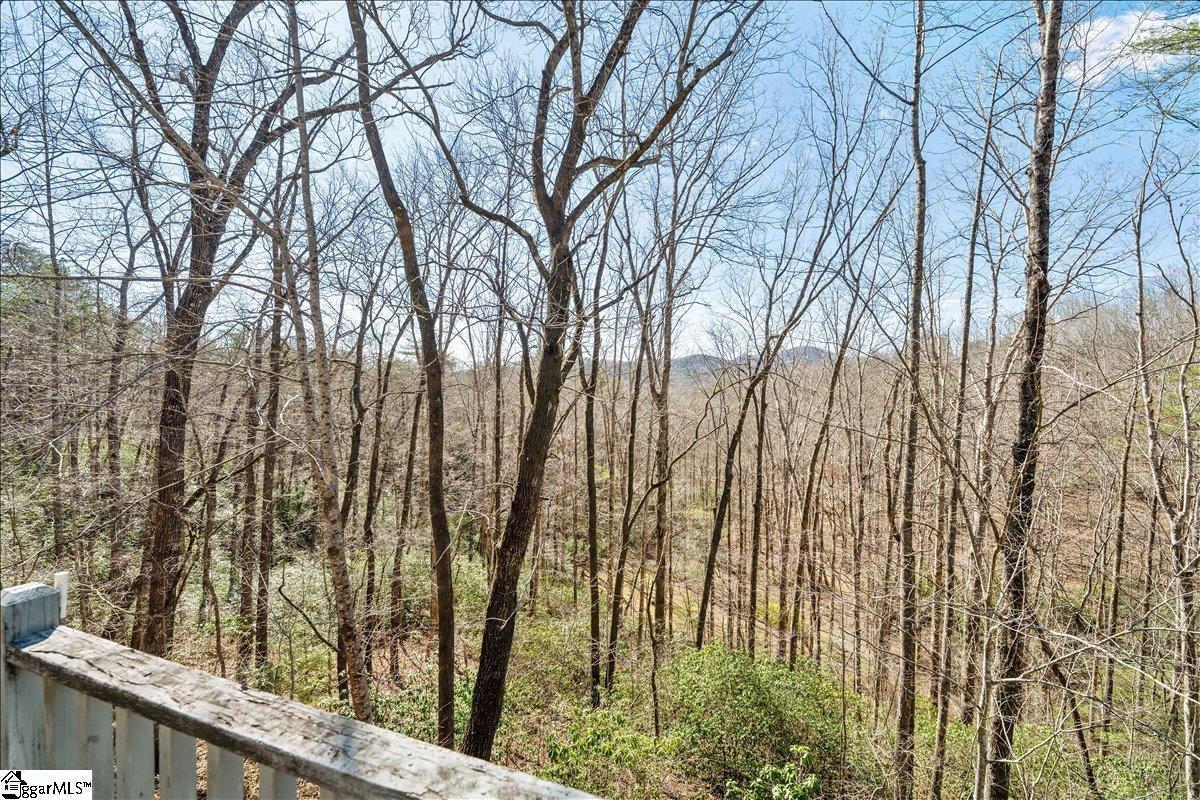 512 Doe Run Property Photo 37