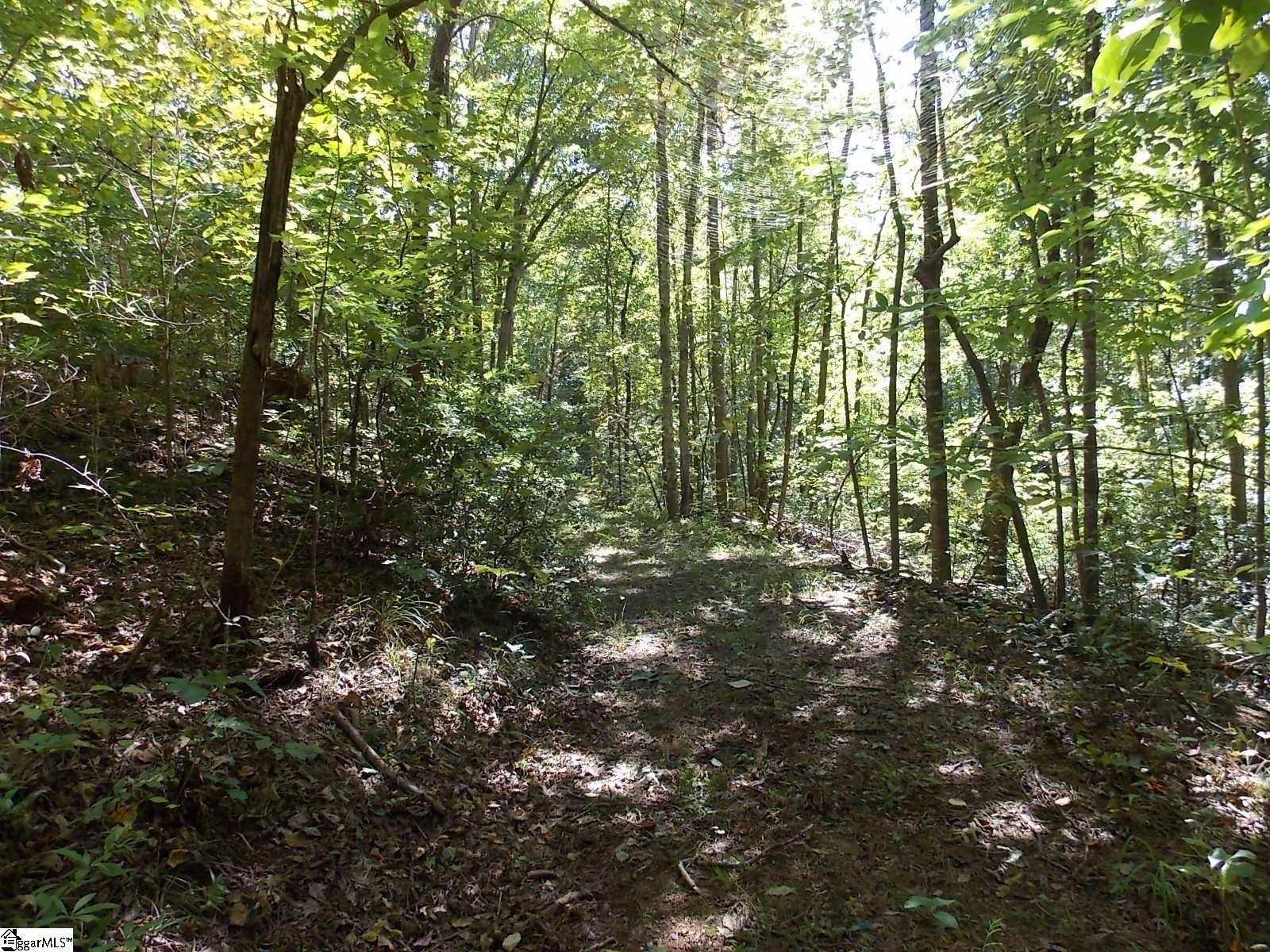 512 Doe Run Property Photo 47