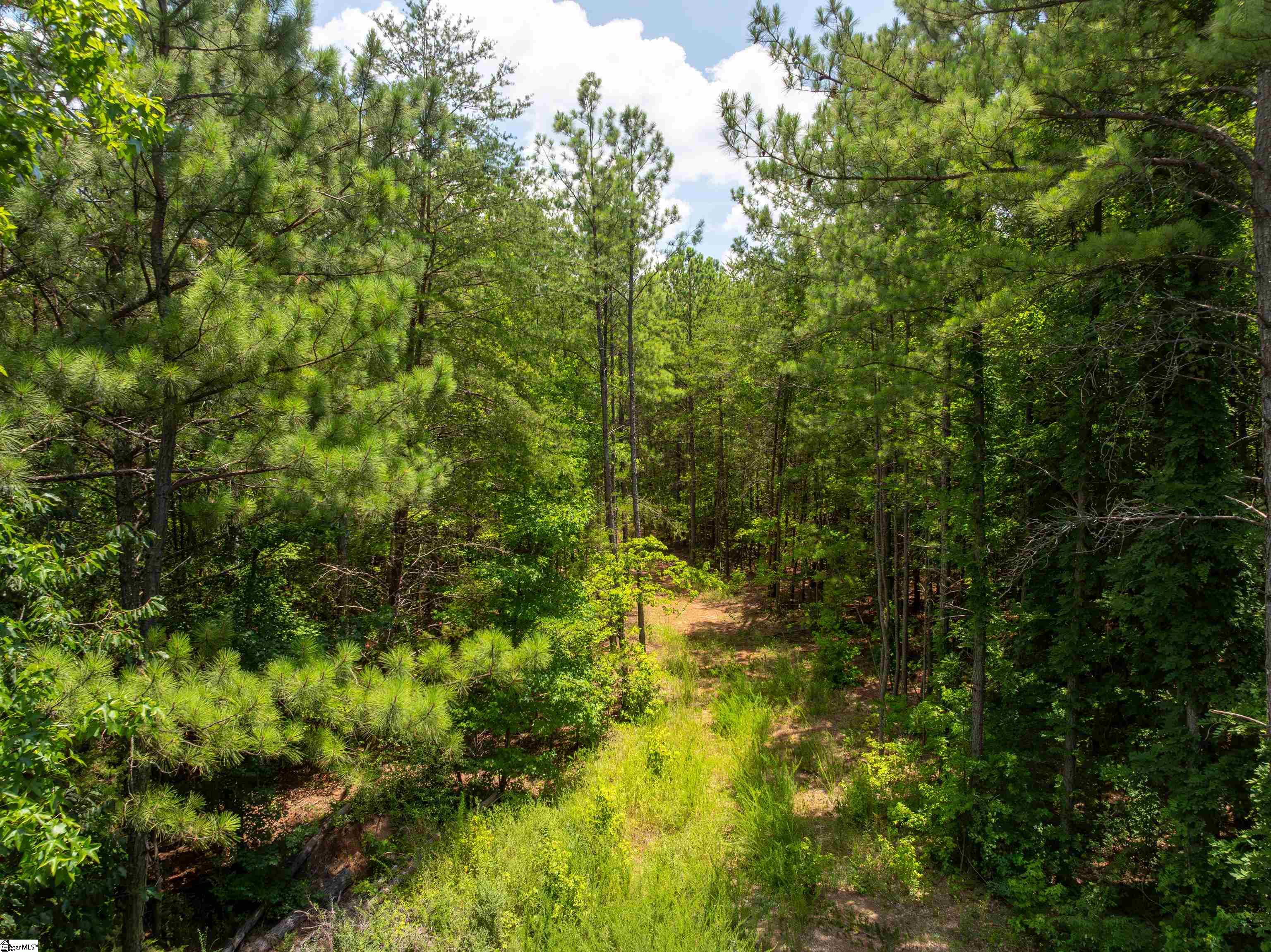 14 Sloan Lake Road Property Photo 14