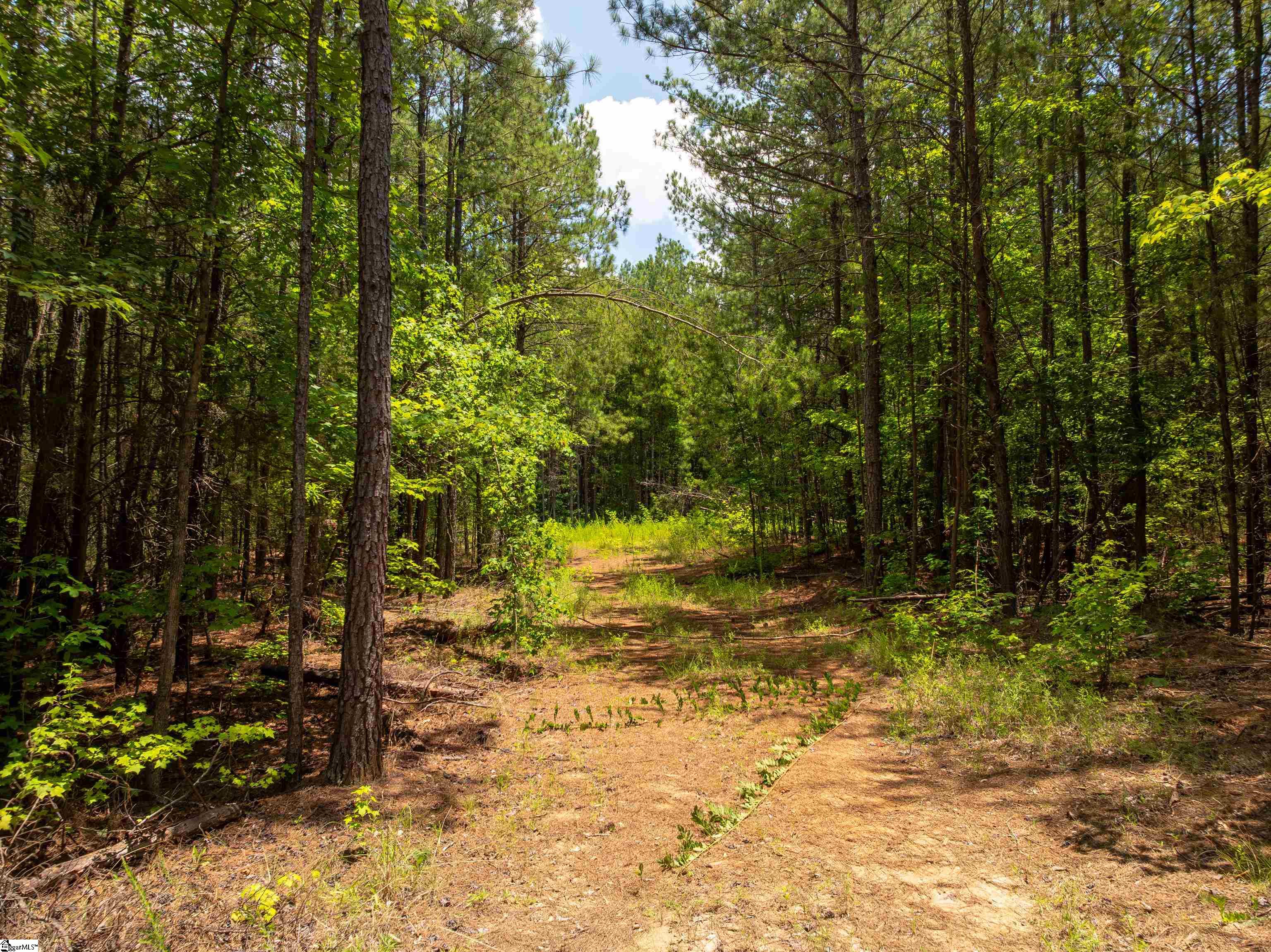 14 Sloan Lake Road Property Photo 16