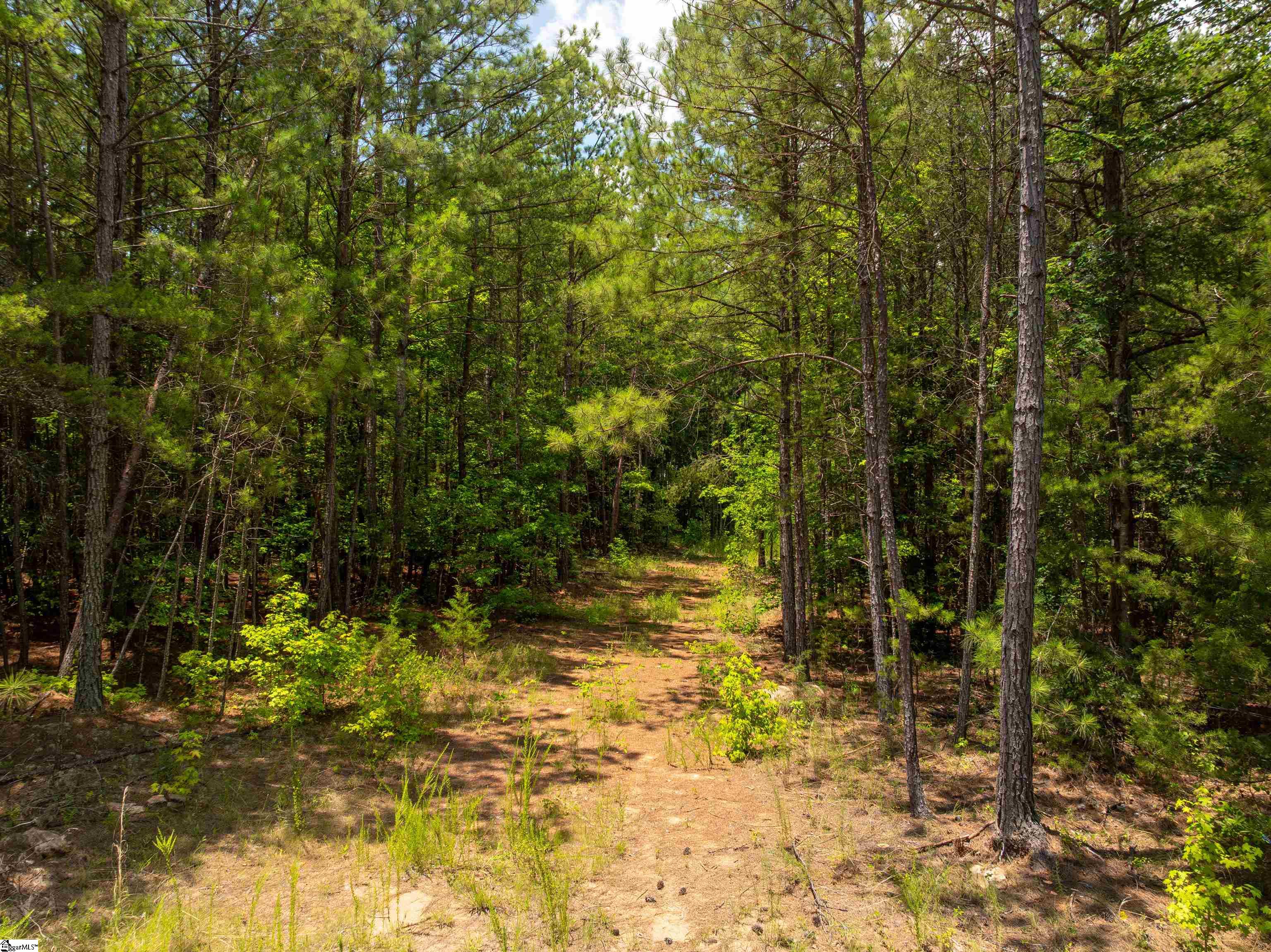 14 Sloan Lake Road Property Photo 18