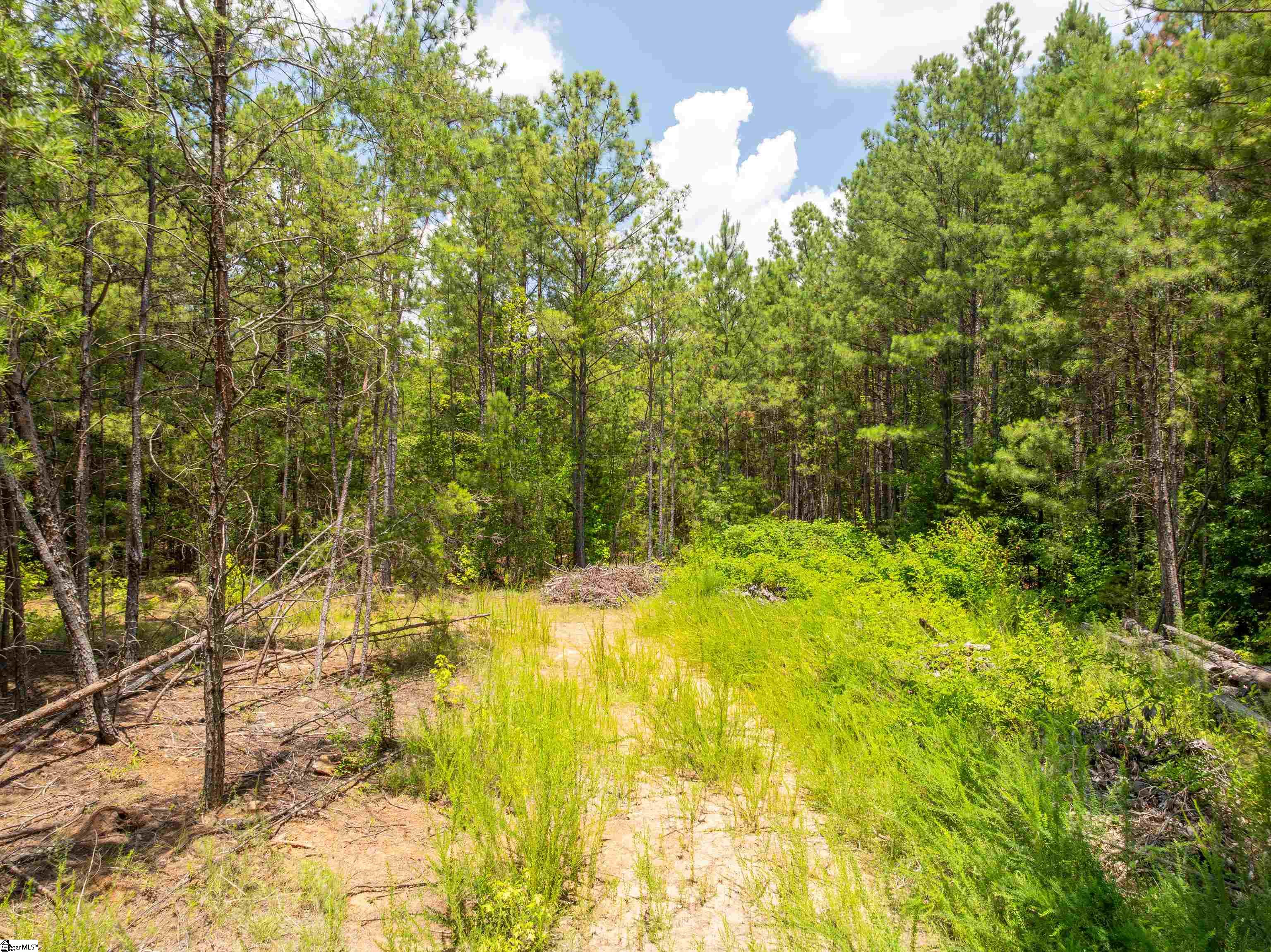 14 Sloan Lake Road Property Photo 19