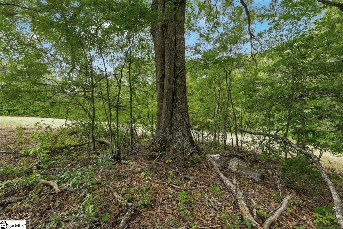 00 Old Pendleton Road Property Photo 17
