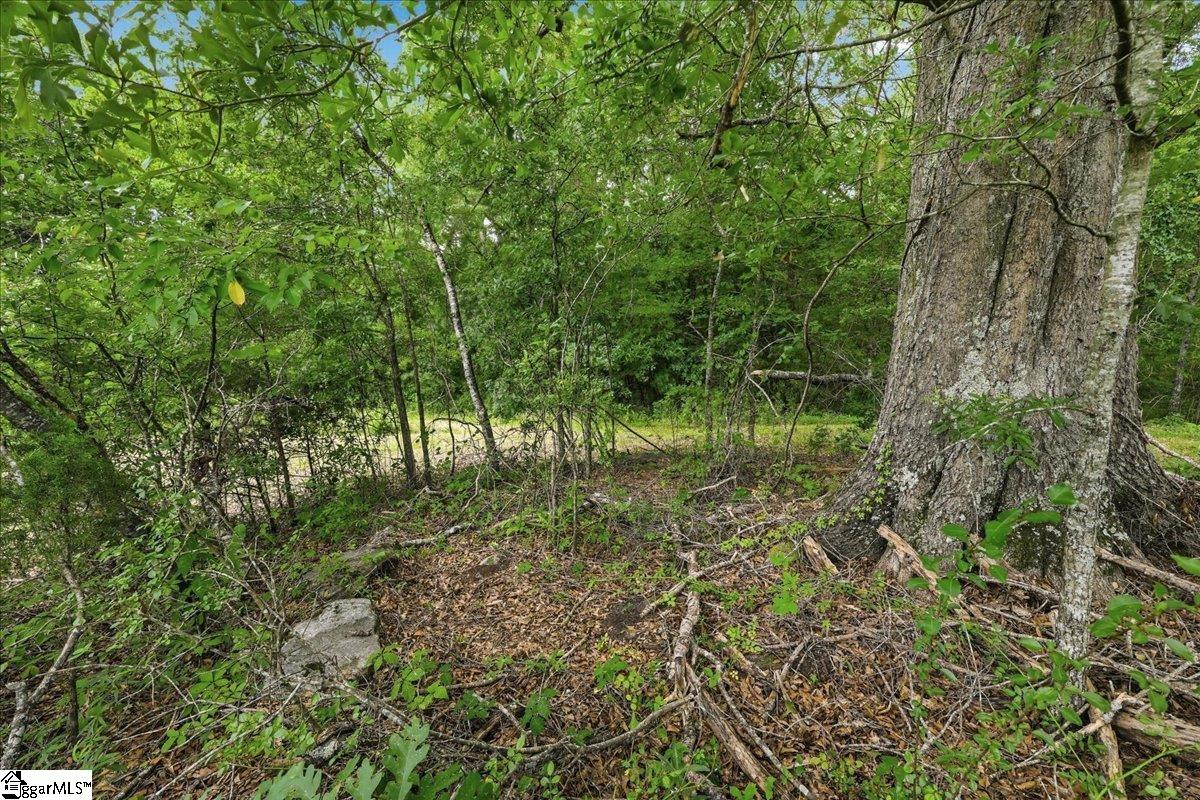 00 Old Pendleton Road Property Photo 18