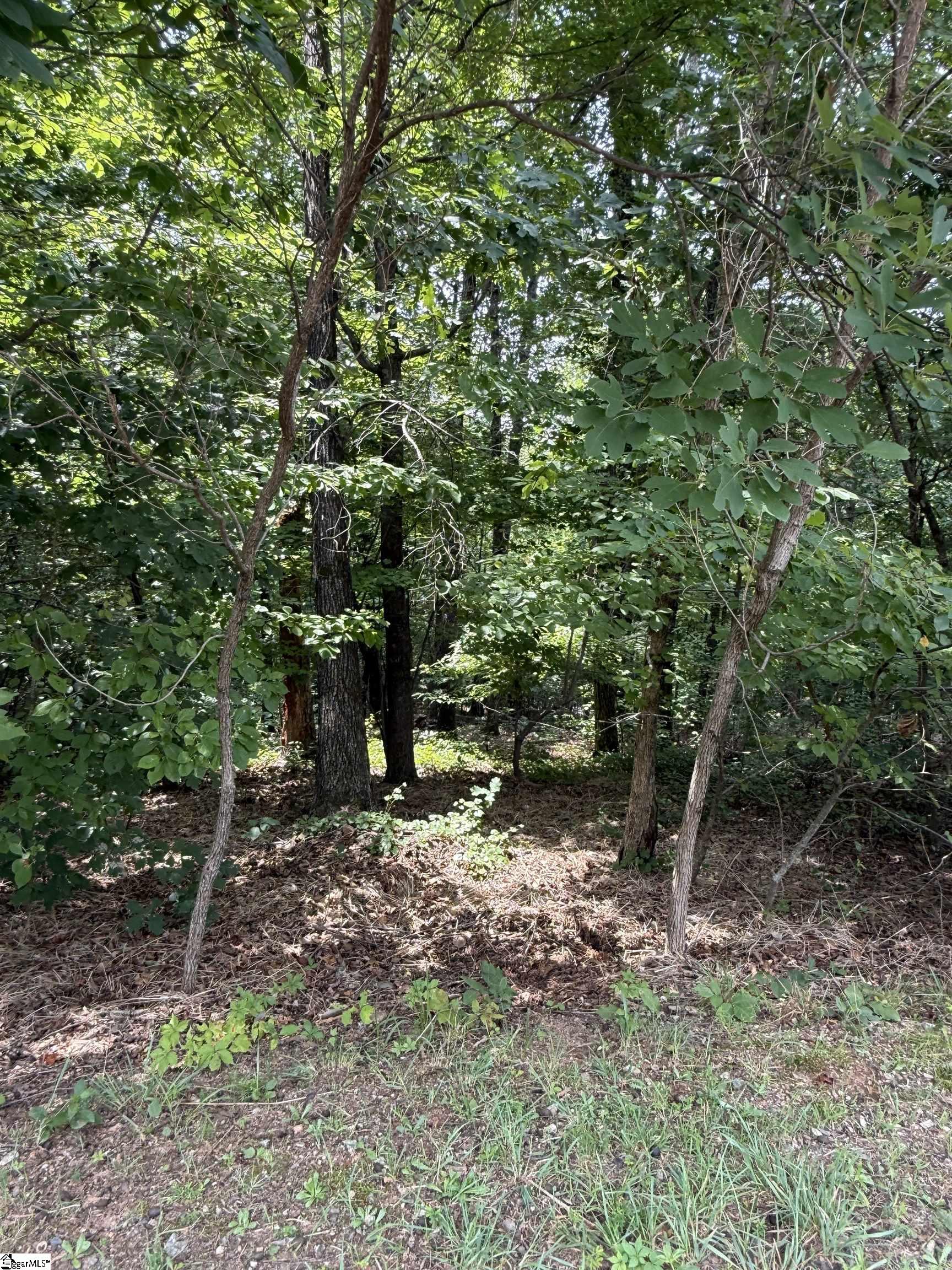 140 Crowne Hill Way Property Photo 2