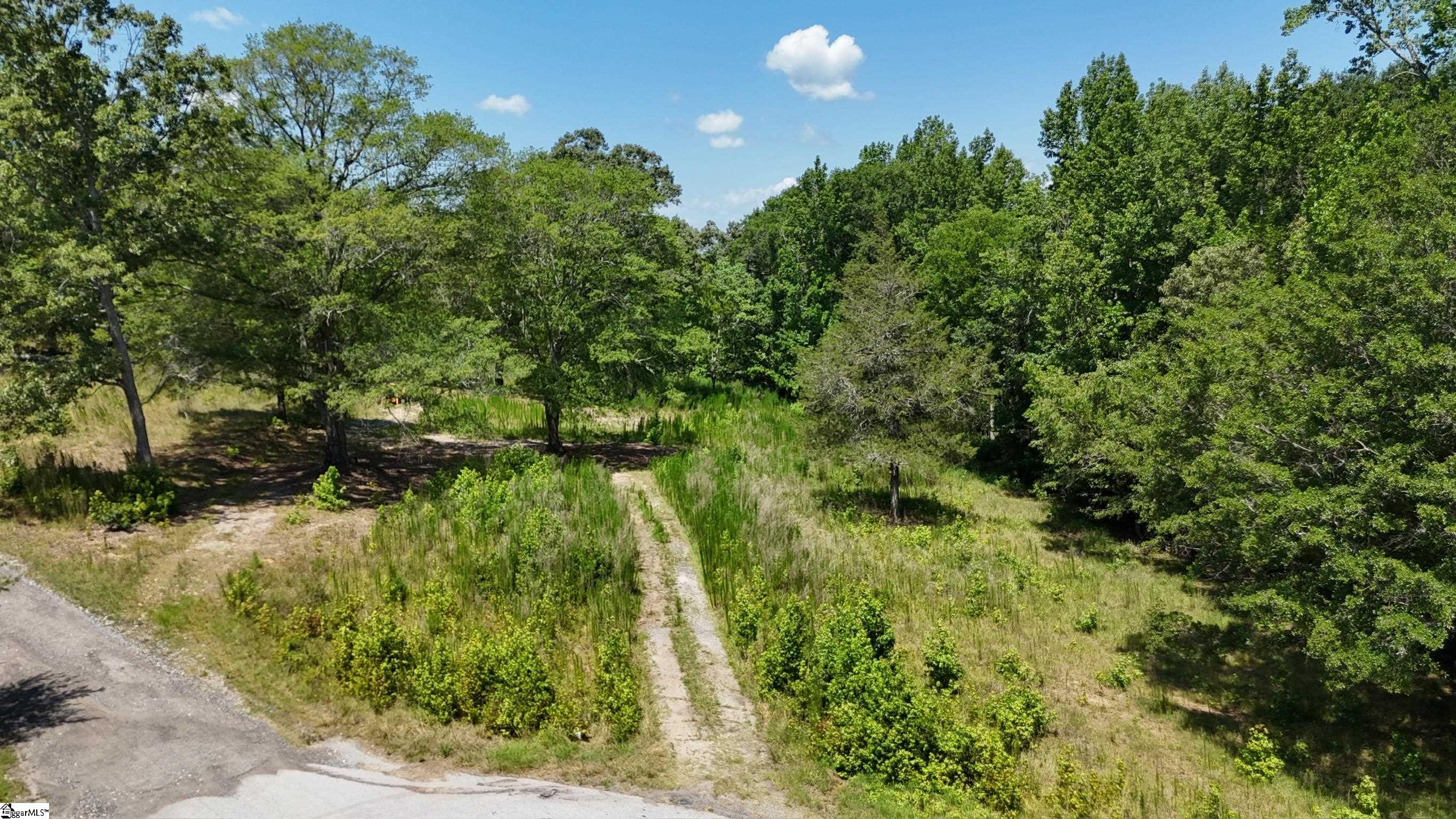 2390 Buckhorn Road Property Photo 8