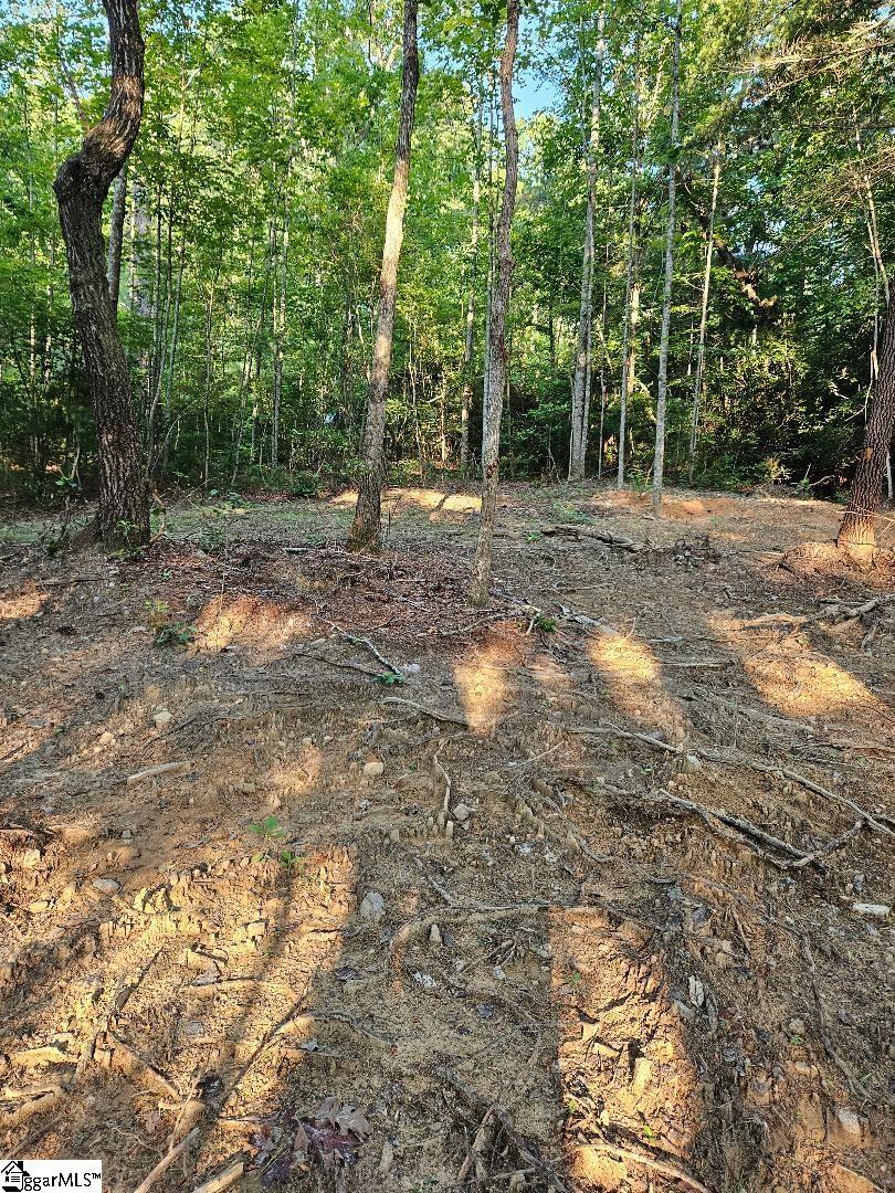 116 Fireside Lane Property Photo 2