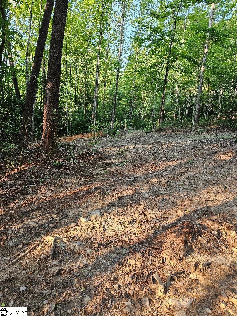 116 Fireside Lane Property Photo 4